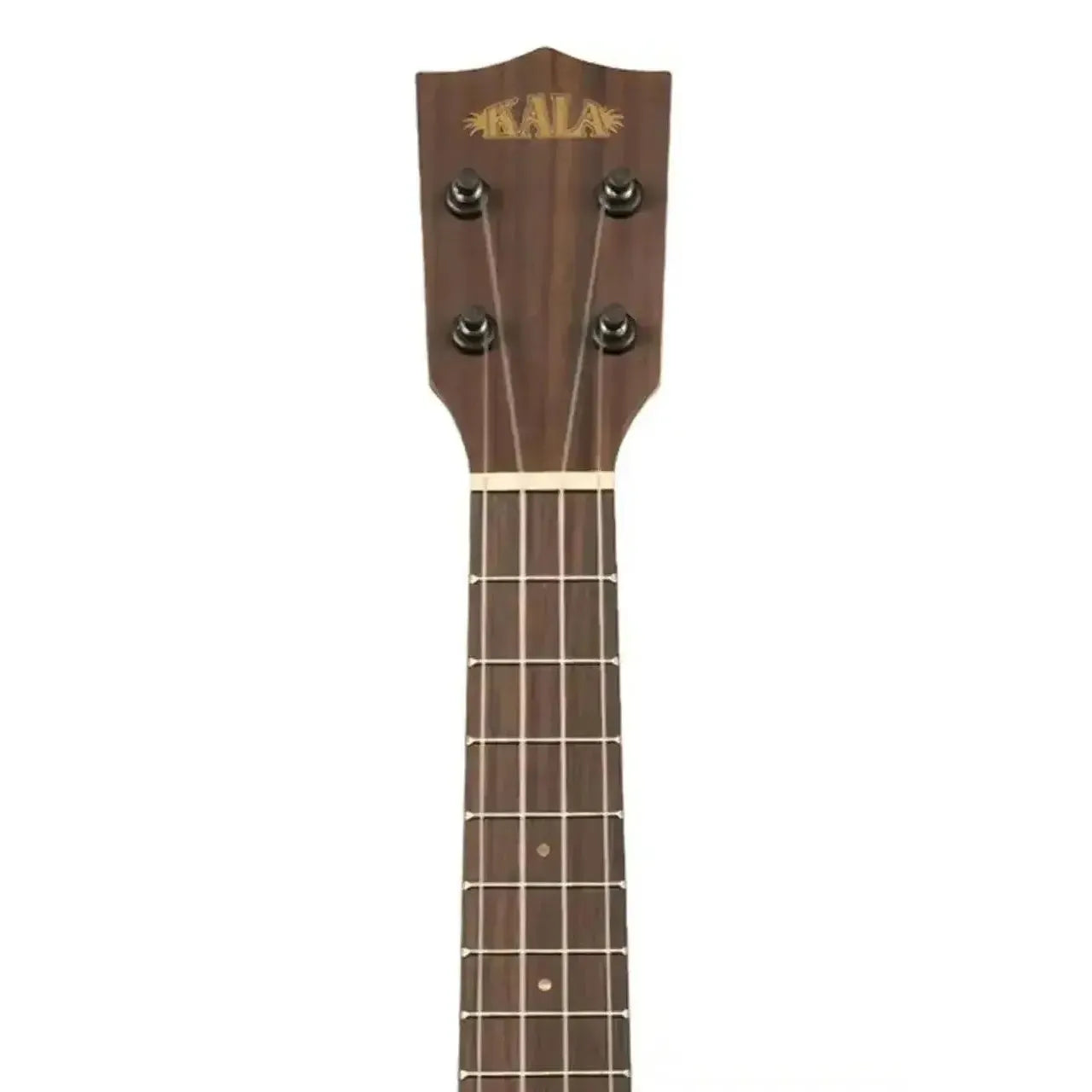 Kala Premier Exotic Bocote Concert Ukulele headstock and fretboard with gold tuners.