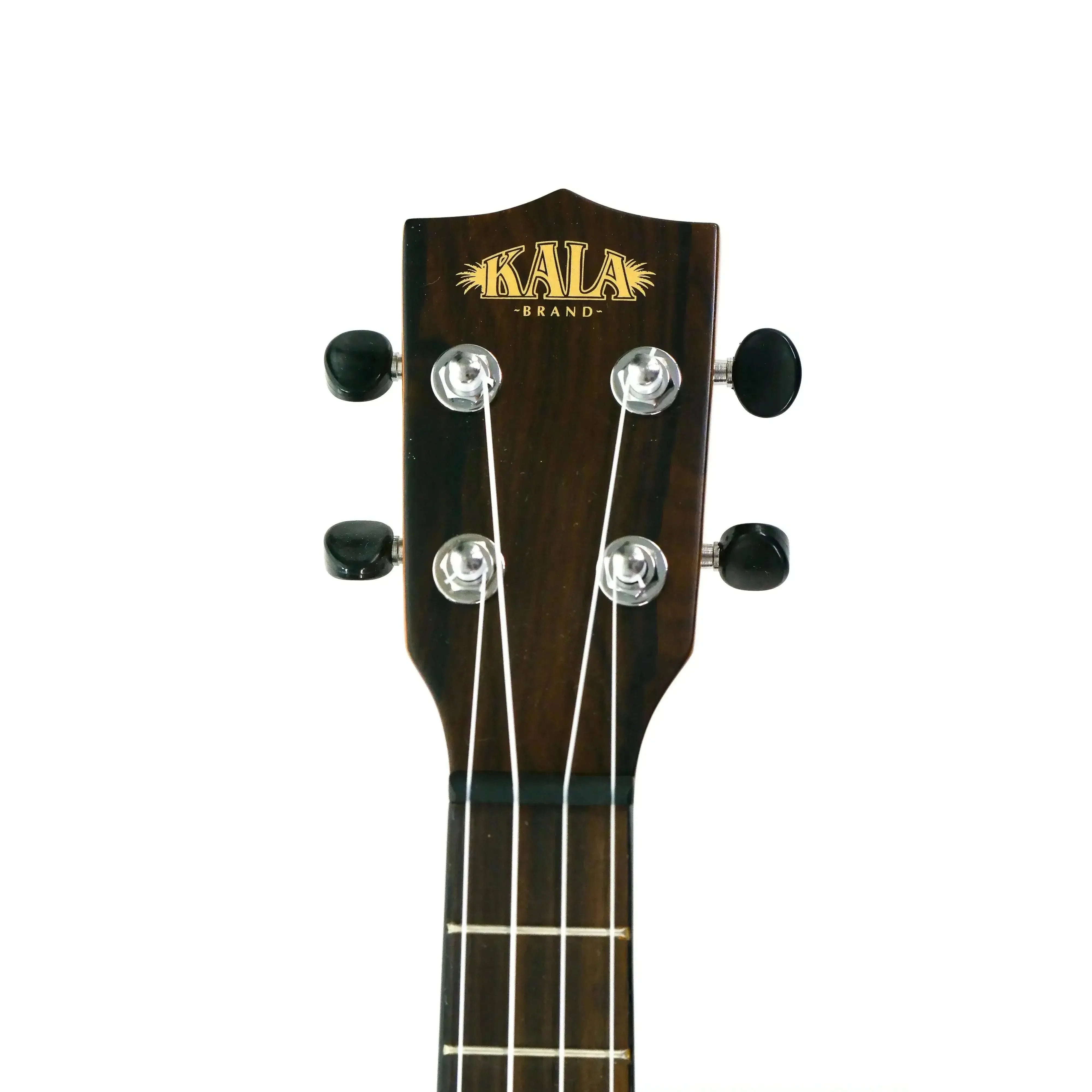 Kala ZCT-T Gloss Ziricote Tenor Ukulele headstock with dark wood grain and gold logo.