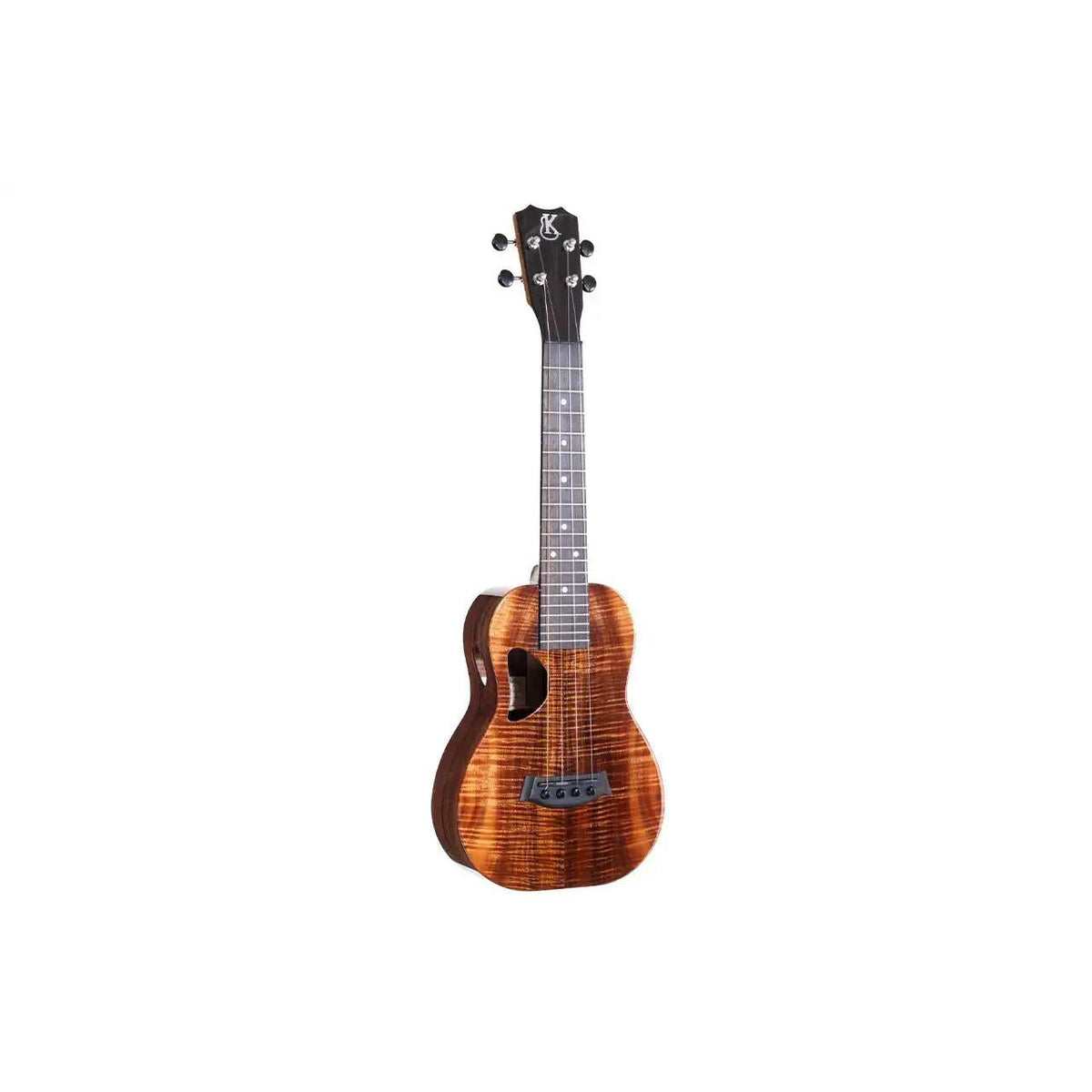 Example photo: an earlier Kanile'a D-1 Pro concert, full front view