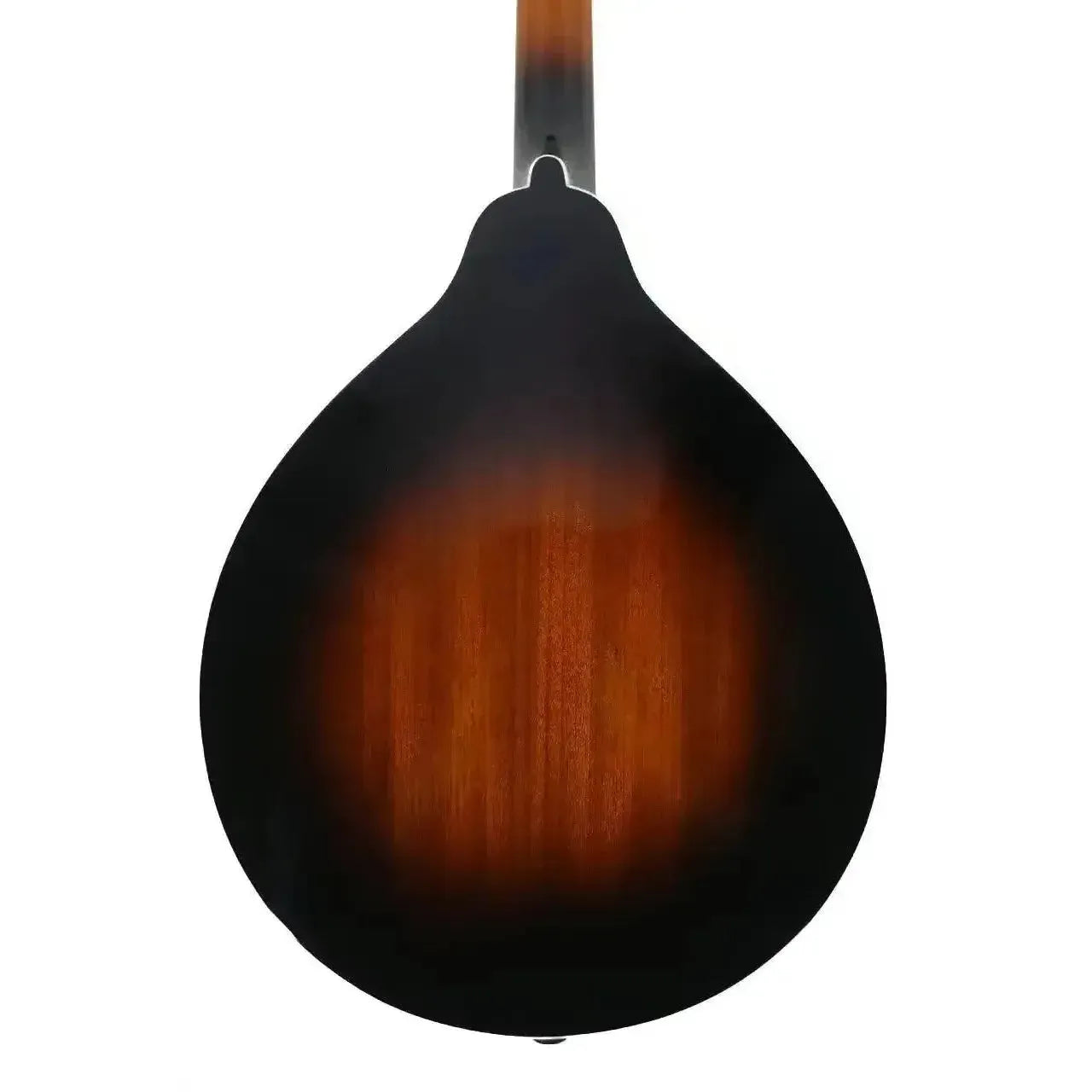 Kentucky KM-140 A-Model mandolin back, showing the sunburst mahogany finish.