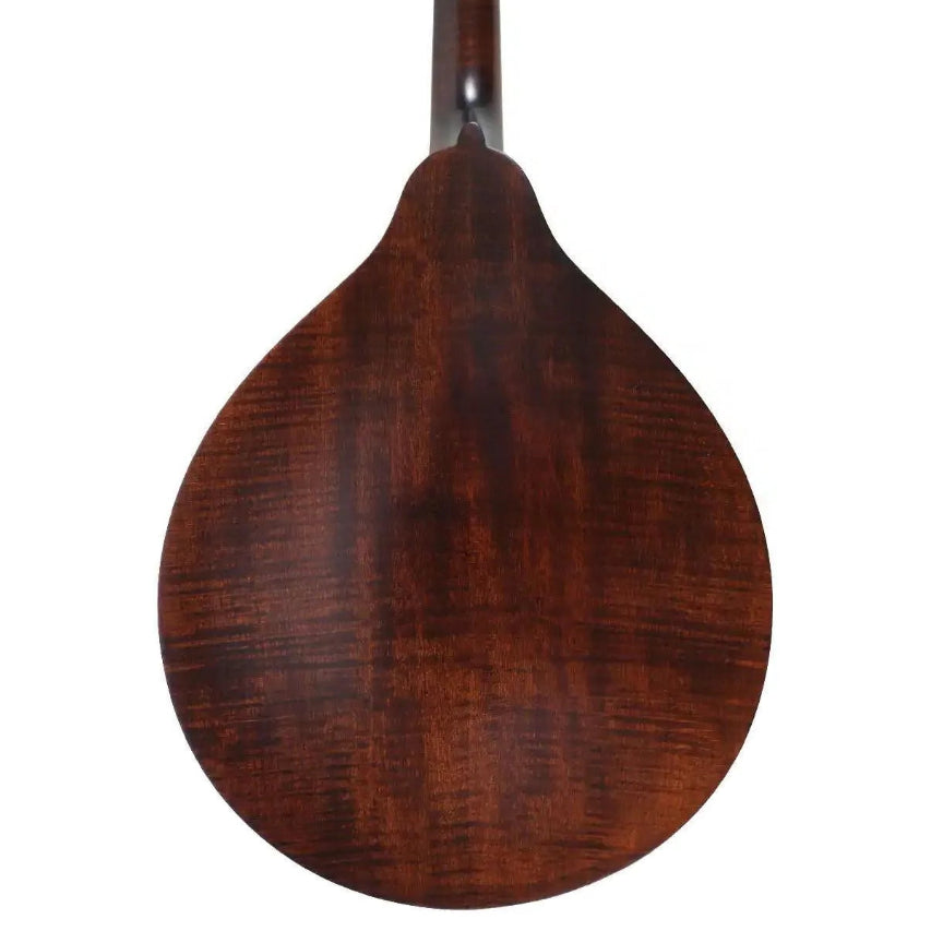 Kentucky KM-206 A-Model mandolin back, showing the satin brown finish and maple wood grain.