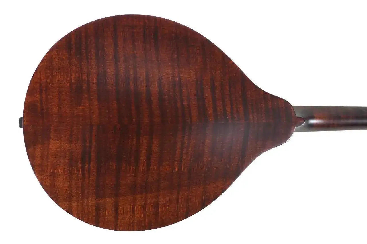 Kentucky KM-226 A-Model mandolin back, showing the satin brown flamed maple.