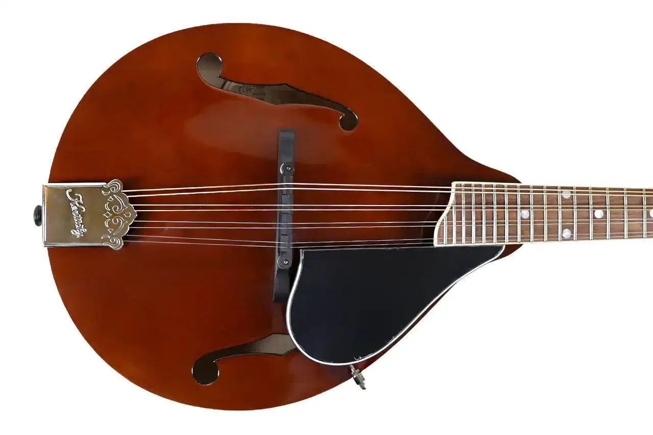 Kentucky KM-256 Brown Deluxe A-Model Mandolin with high-gloss finish, white binding, and engraved tailpiece.