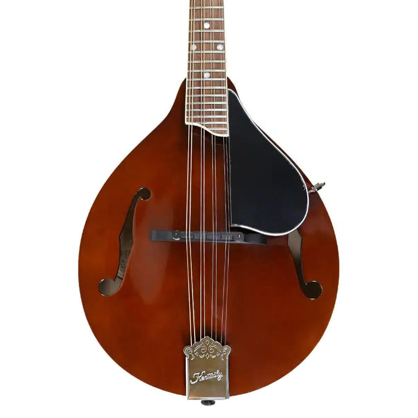 Kentucky KM-256 Brown Deluxe A-Model Mandolin with high-gloss finish, white binding, and engraved tailpiece.