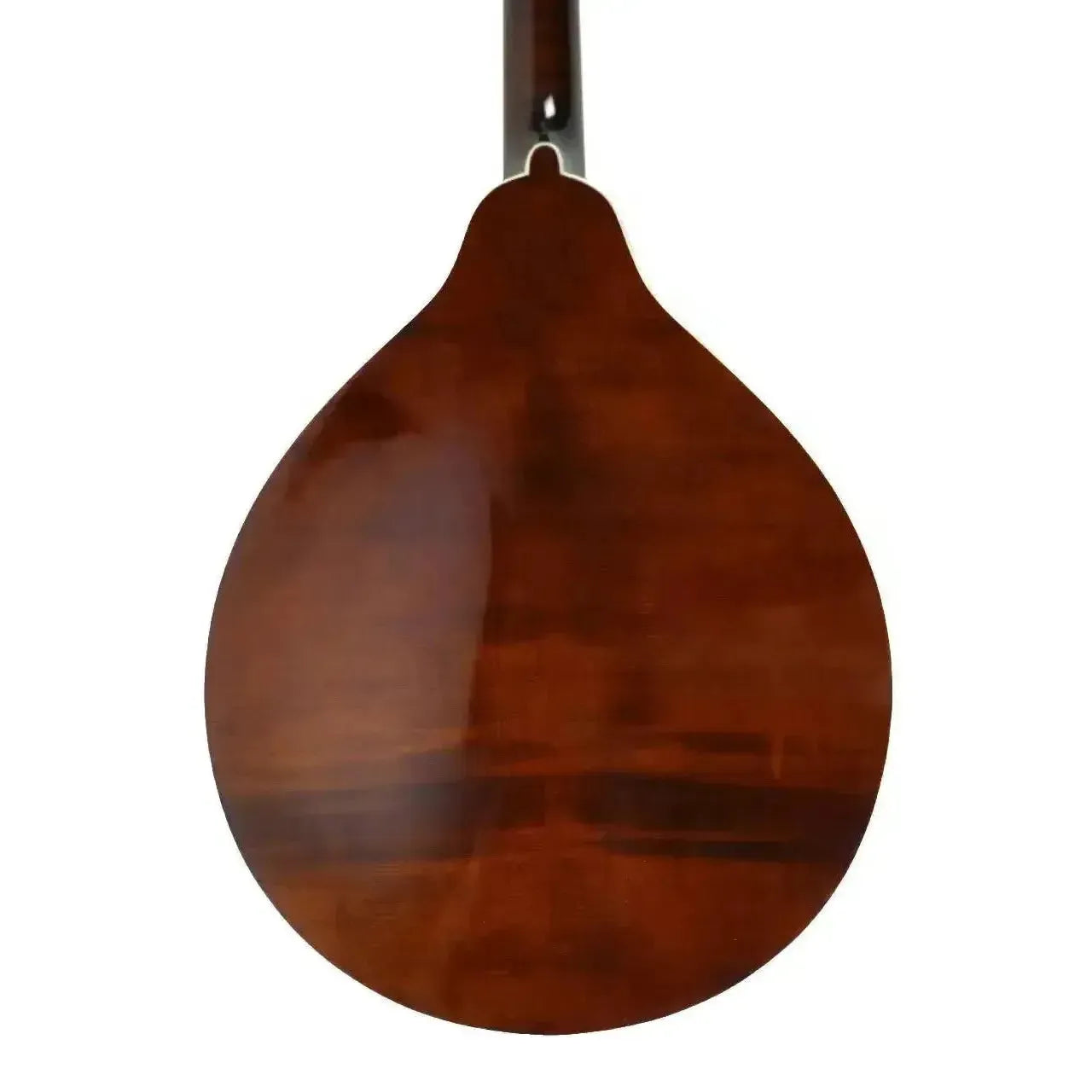 Back of a Kentucky KM-276 A-Model mandolin with a high-gloss transparent brown finish and wood grain.