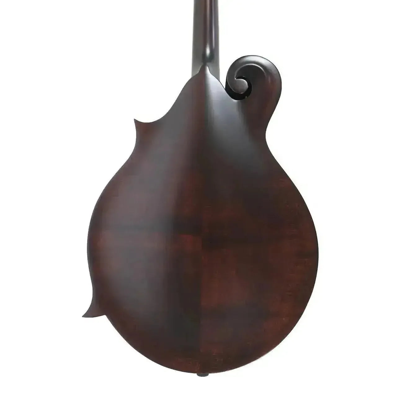 Back of a Kentucky KM-606 F-Model mandolin in satin brown finish, showing solid maple back and scroll.