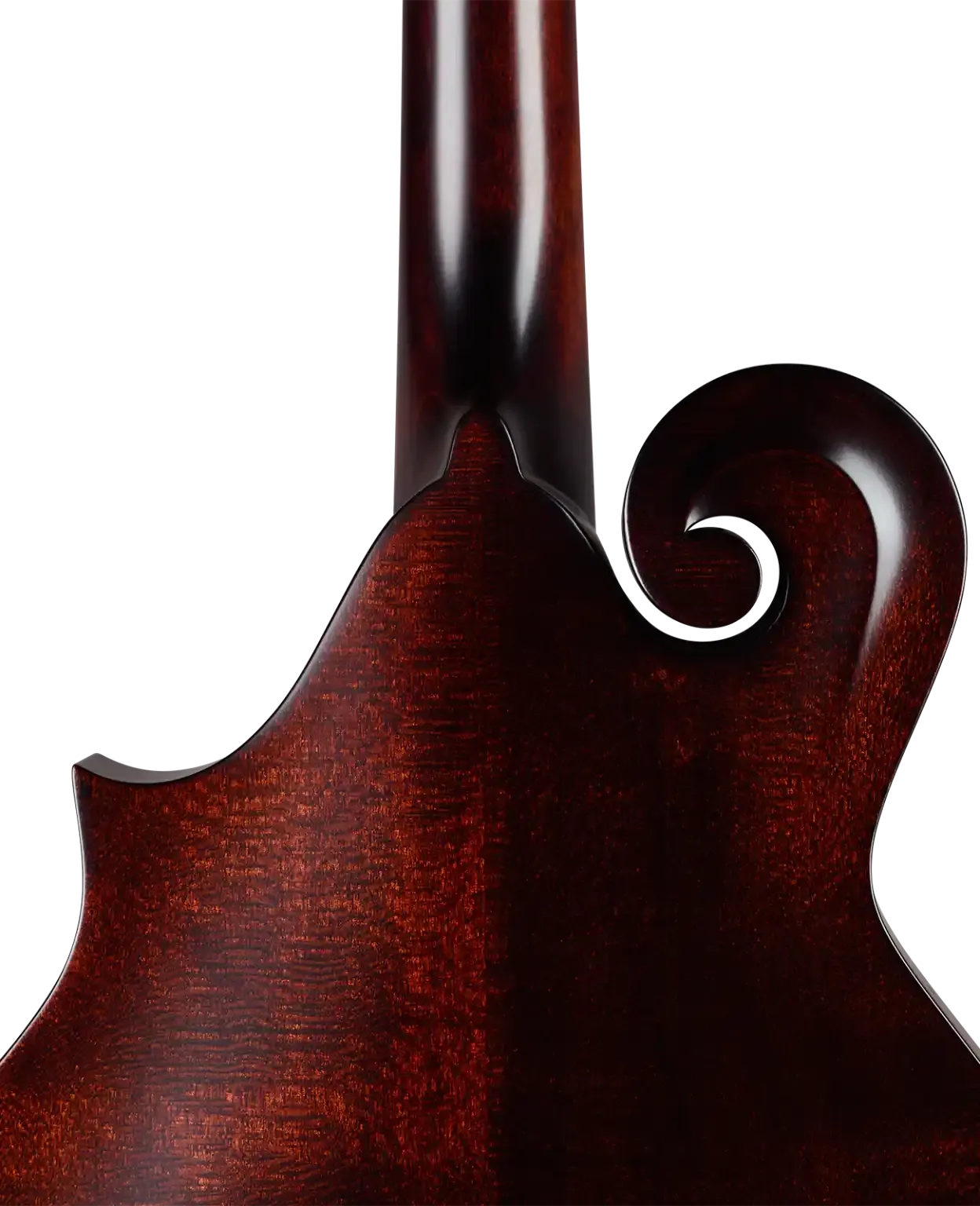 Back of a Kentucky KM-626 F-Model mandolin, showing its satin brown finish and curly maple wood grain.