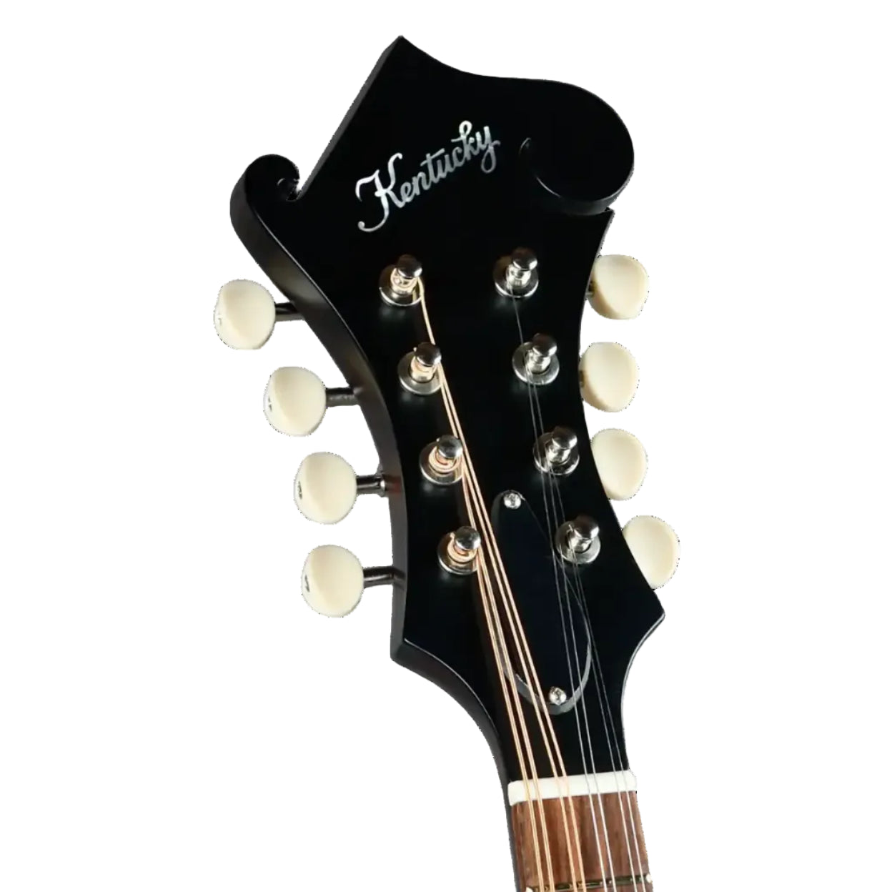 Kentucky mandolin headstock with black finish, white tuning pegs, and "Kentucky" logo.