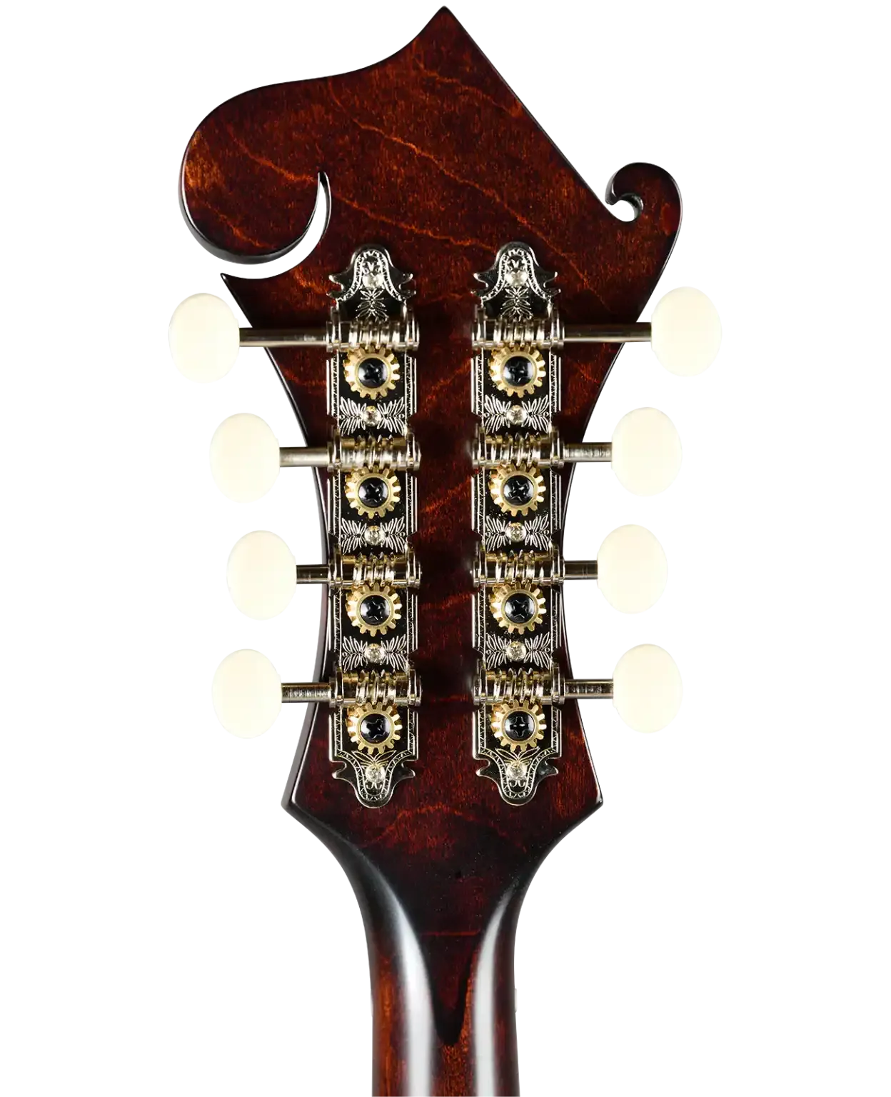 Kentucky KM-626 F-Model mandolin headstock with satin brown finish, ornate tuners, and white buttons.