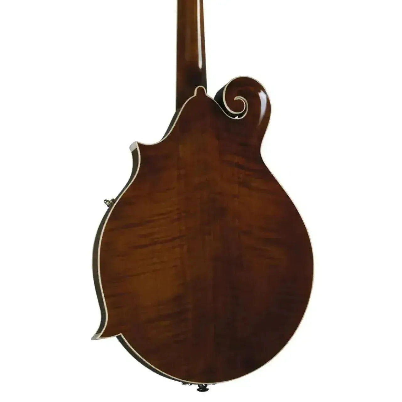 Back of a Kentucky KM-656 F-Model mandolin, showing its high-gloss transparent brown Alpine maple.
