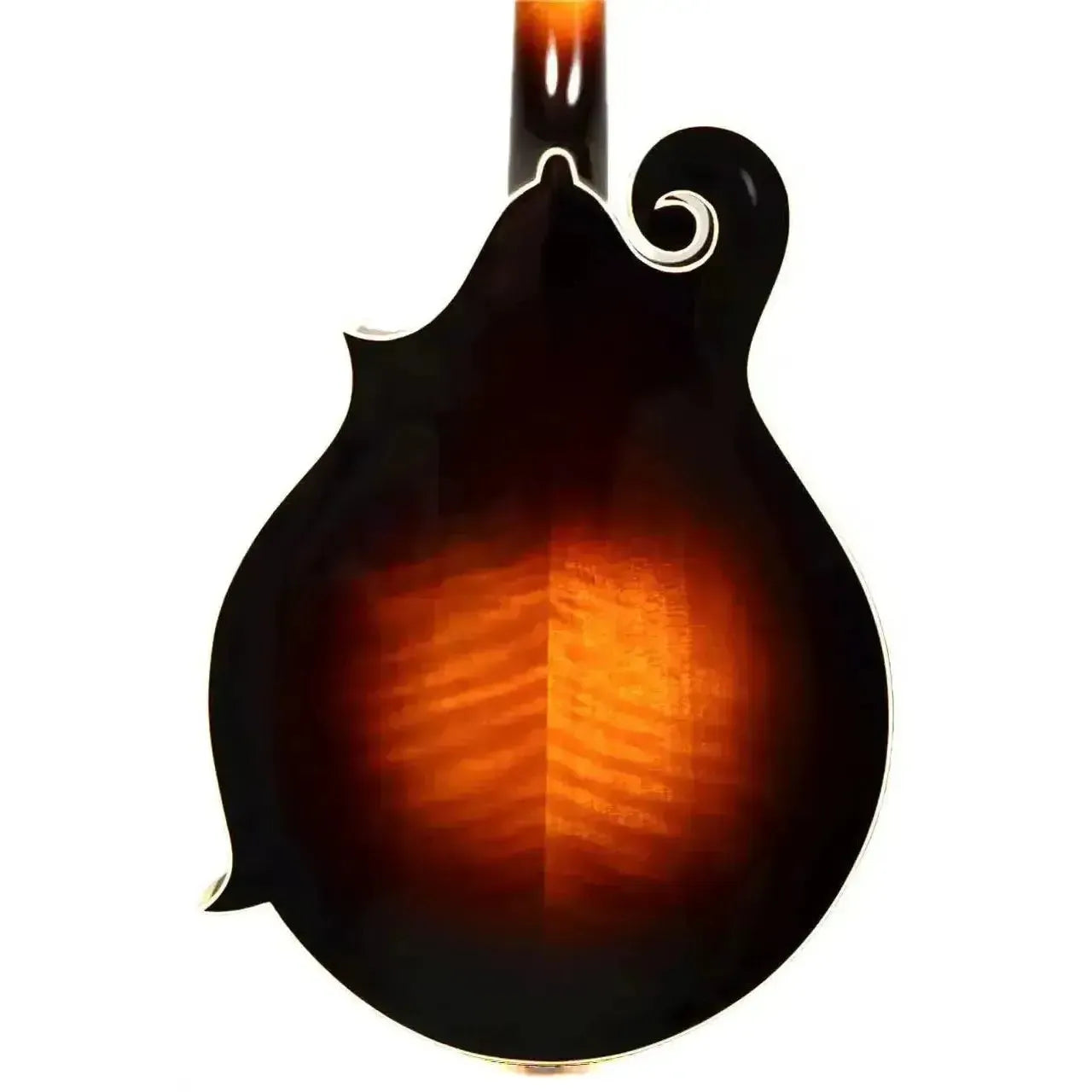 Back of Kentucky KM-750 F-model mandolin with sunburst finish and Alpine maple grain.