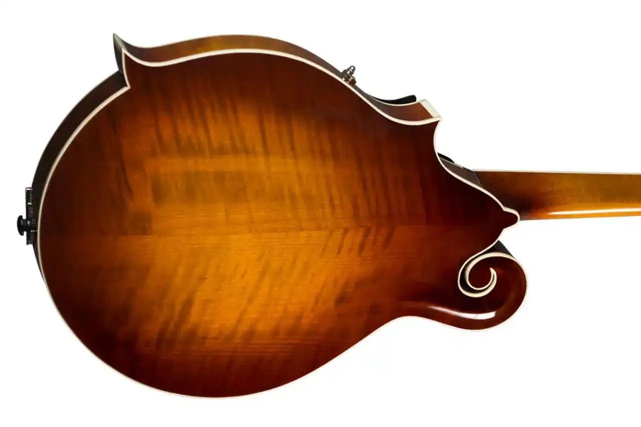 Kentucky KM-755 F-Model mandolin back, amberburst with figured Alpine maple, high-gloss finish.