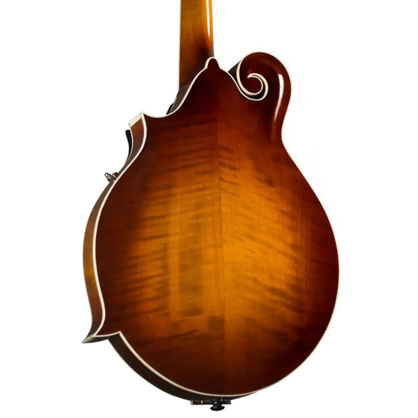 Kentucky KM-755 F-Model mandolin back, amberburst with figured Alpine maple, high-gloss finish.