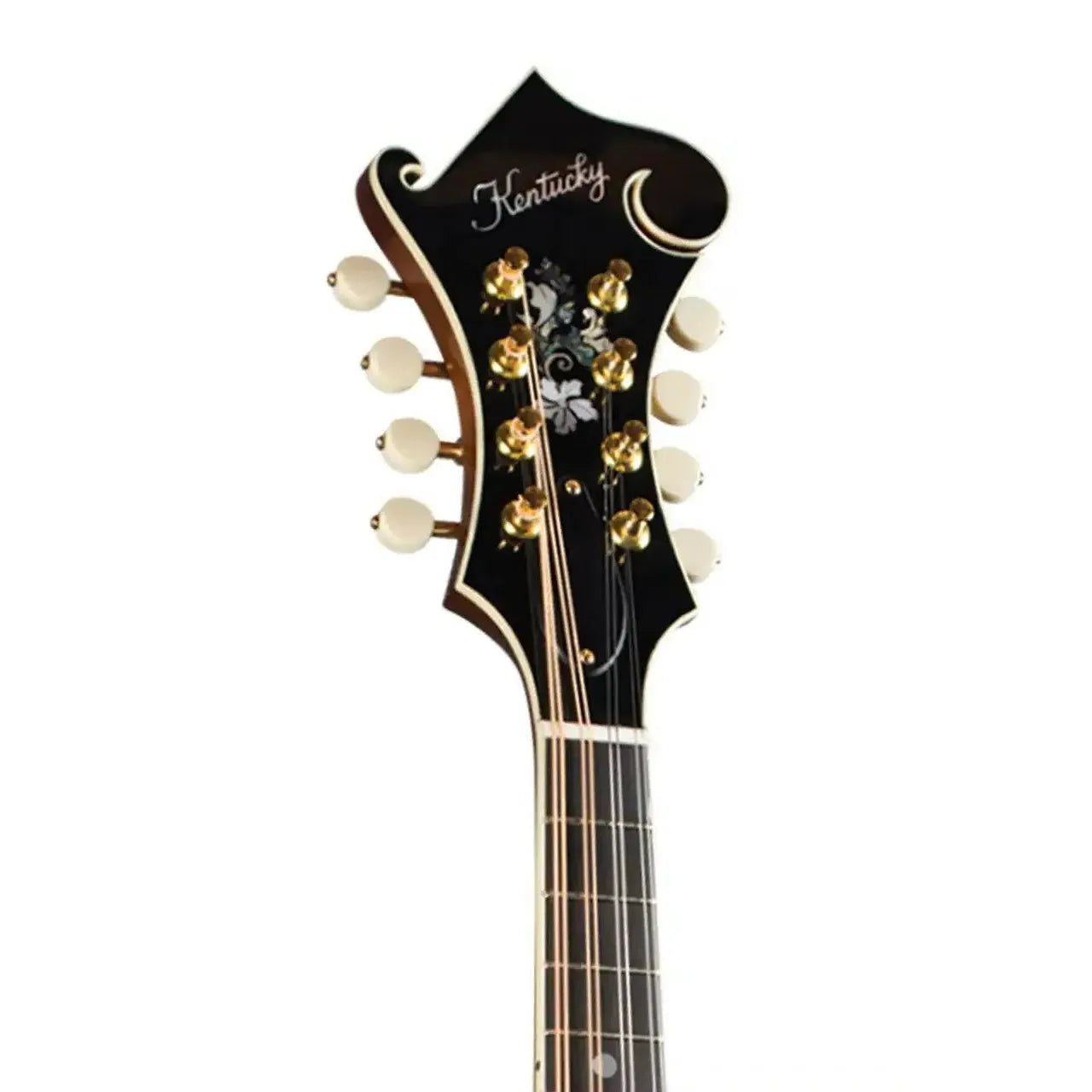 Kentucky KM-850 F-Model mandolin headstock with abalone logo, mother-of-pearl inlay, and gold tuners.
