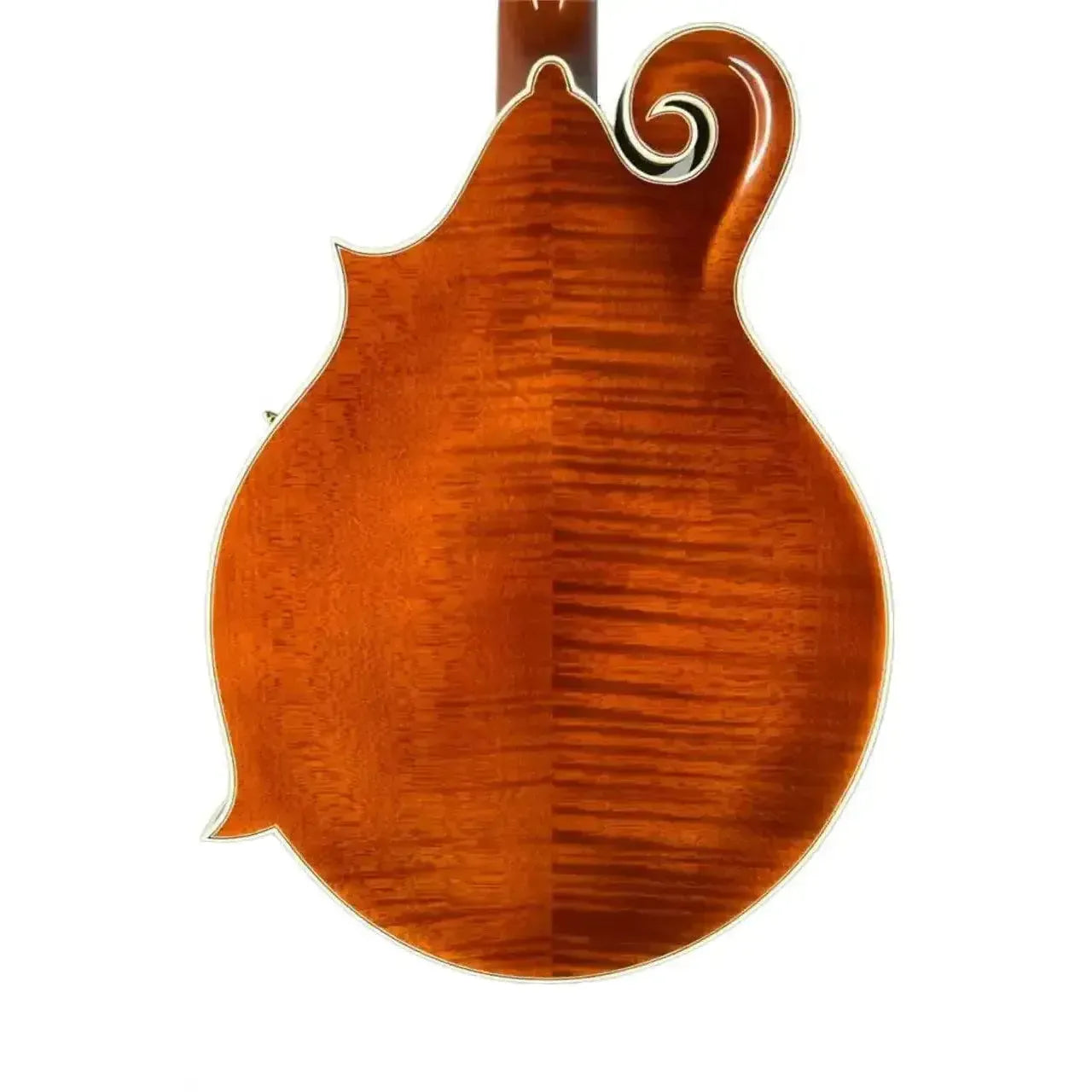 Back of a Kentucky KM-858 F-Model mandolin, showcasing its flamed Alpine maple in a rich, glossy finish.