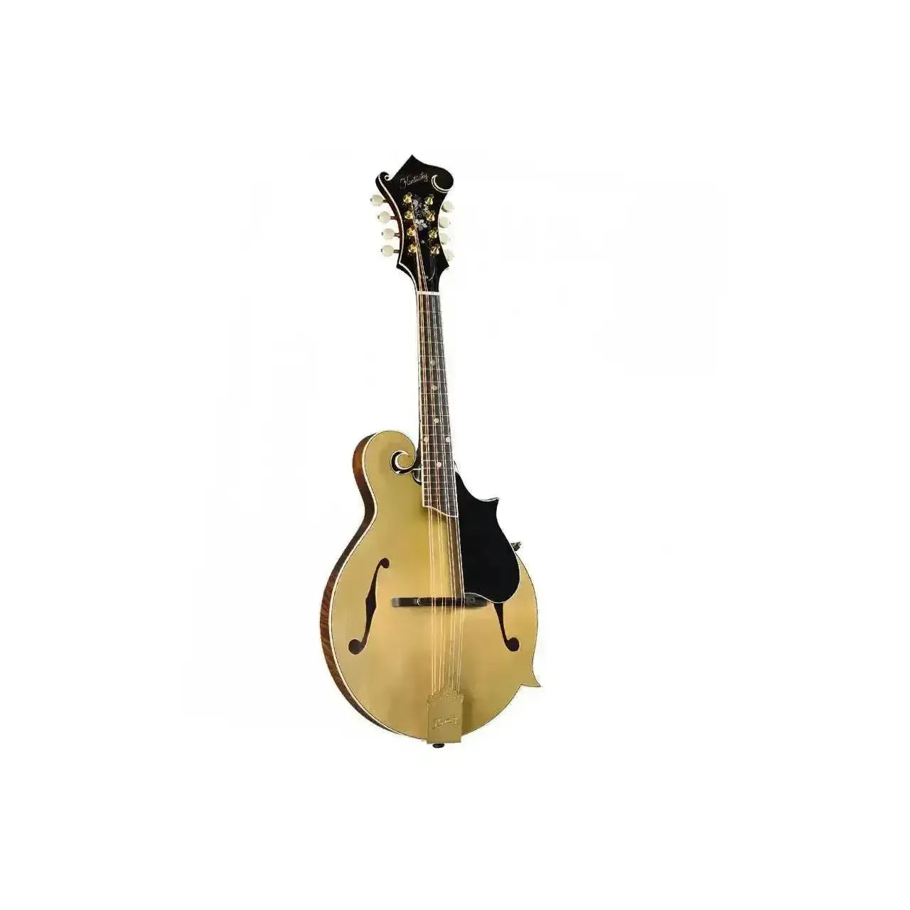 Kentucky KM-858 Gold Top F-Model Mandolin with black pickguard and headstock.