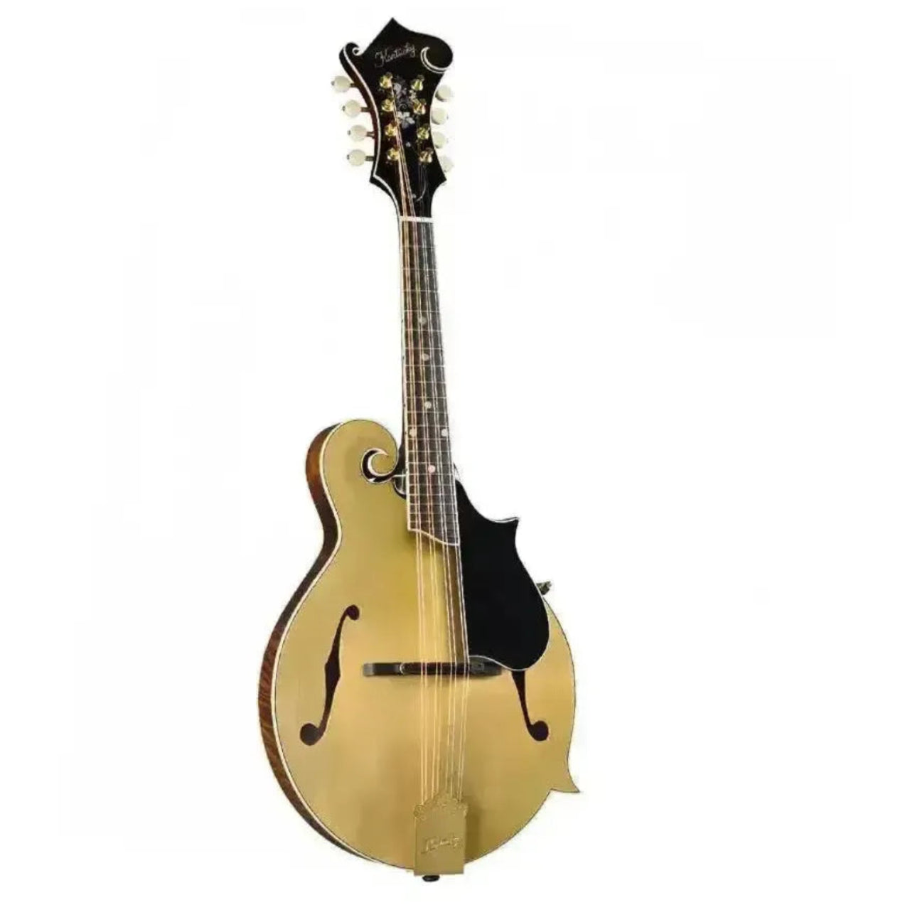 Kentucky KM-858 Gold Top F-Model Mandolin with black pickguard and headstock.