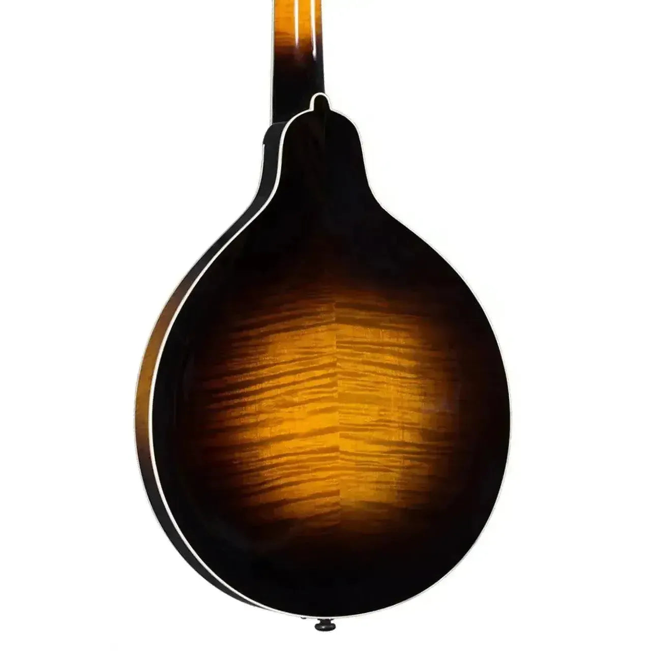 Kentucky KM-900 A-Model mandolin back with tobacco sunburst finish and flamed maple wood grain.