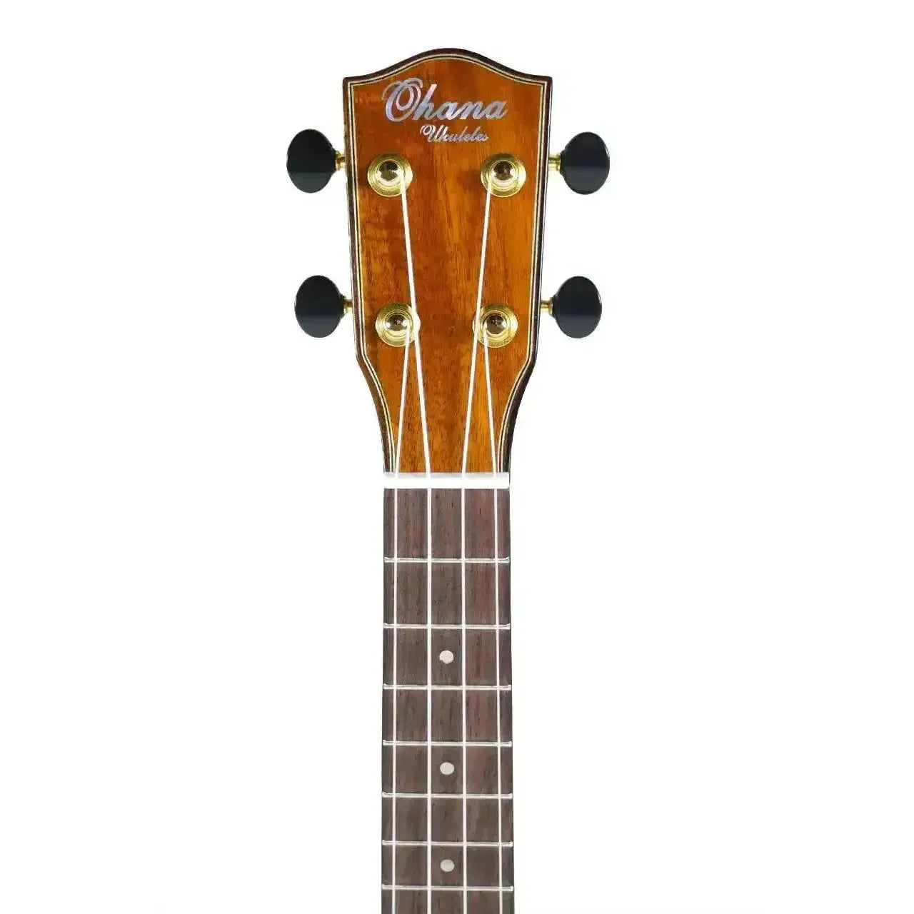 Ohana CK-260G concert ukulele headstock with a gloss finish, black Grover tuners, and the Ohana logo.