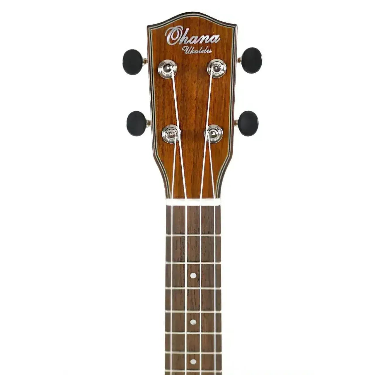 Ohana CK-35G concert ukulele headstock with gloss mahogany finish, black tuners, and white binding.