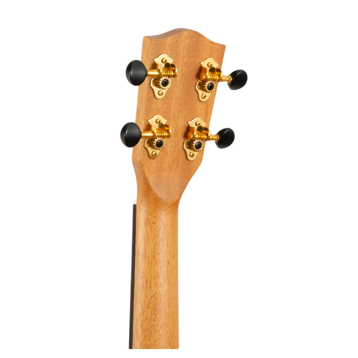Representative photo of a Pono UL4 headstock back showing the solid headstock and gold tuners (UL4-1 shown).
