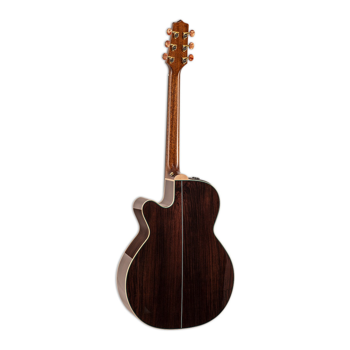 Full back view of the Takamine DSF48C showing the mahogany neck and the solid rosewood back.