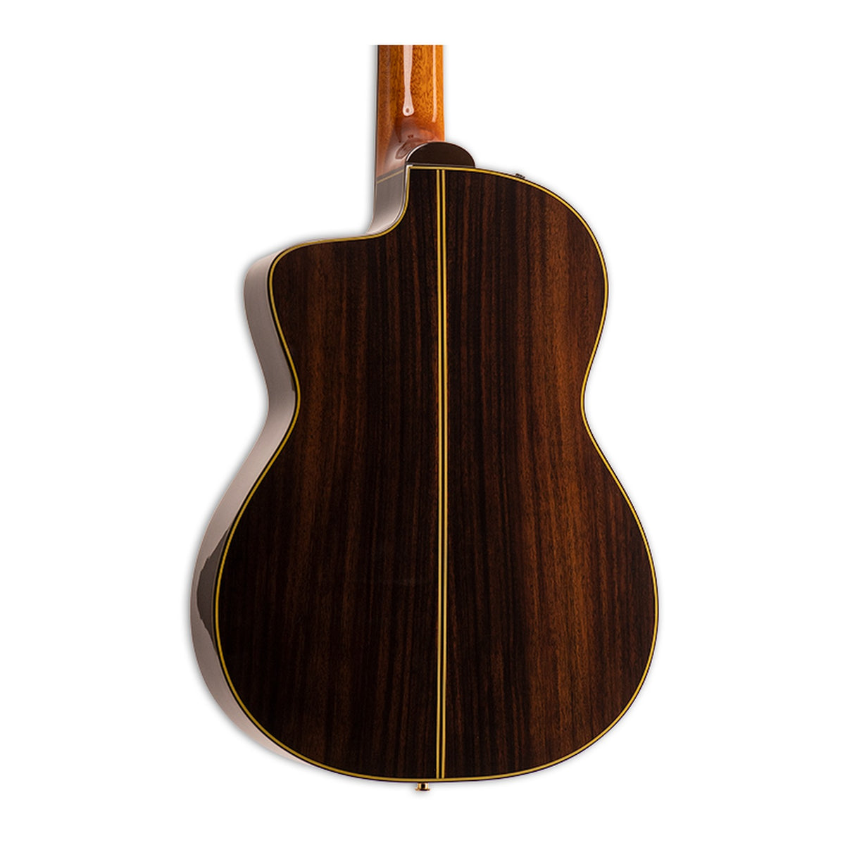 Back of the Takamine EH5C body in dark-striped solid rosewood with a thin center strip, gloss finish.