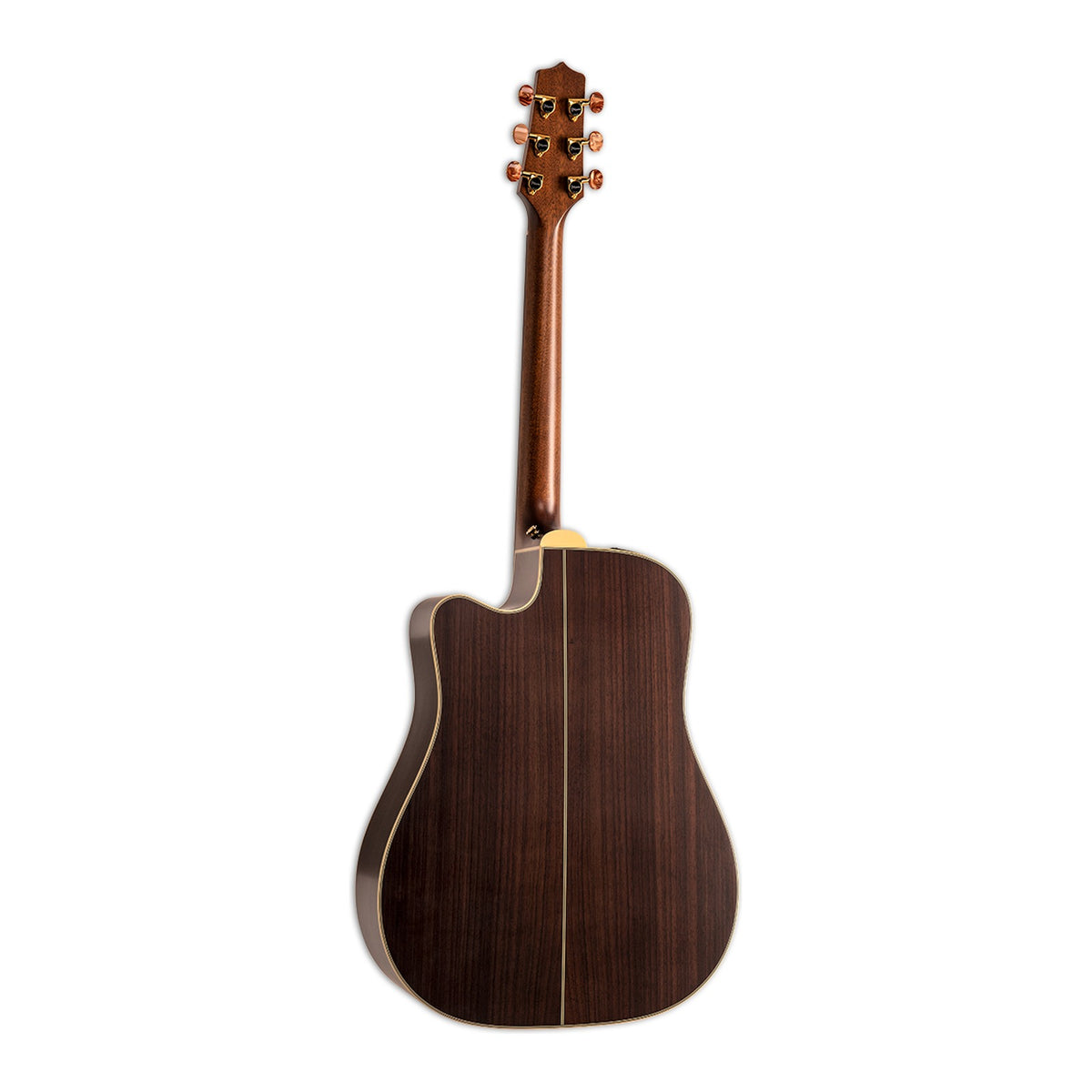 Full back view of the Takamine GB7C showing the mahogany neck and the solid rosewood back.