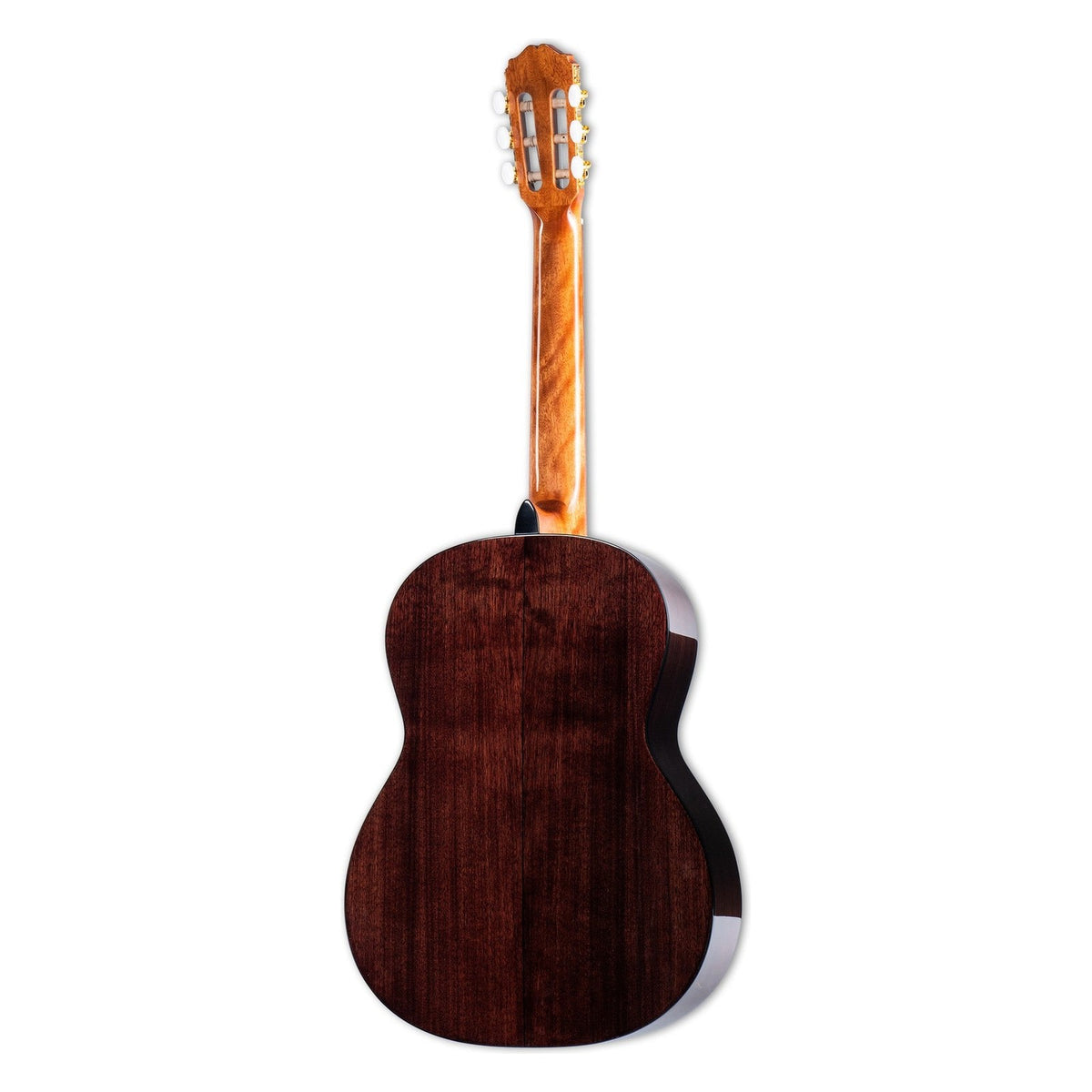 Back of the Takamine GC5 left-handed classical guitar in dark black walnut with a mahogany neck.