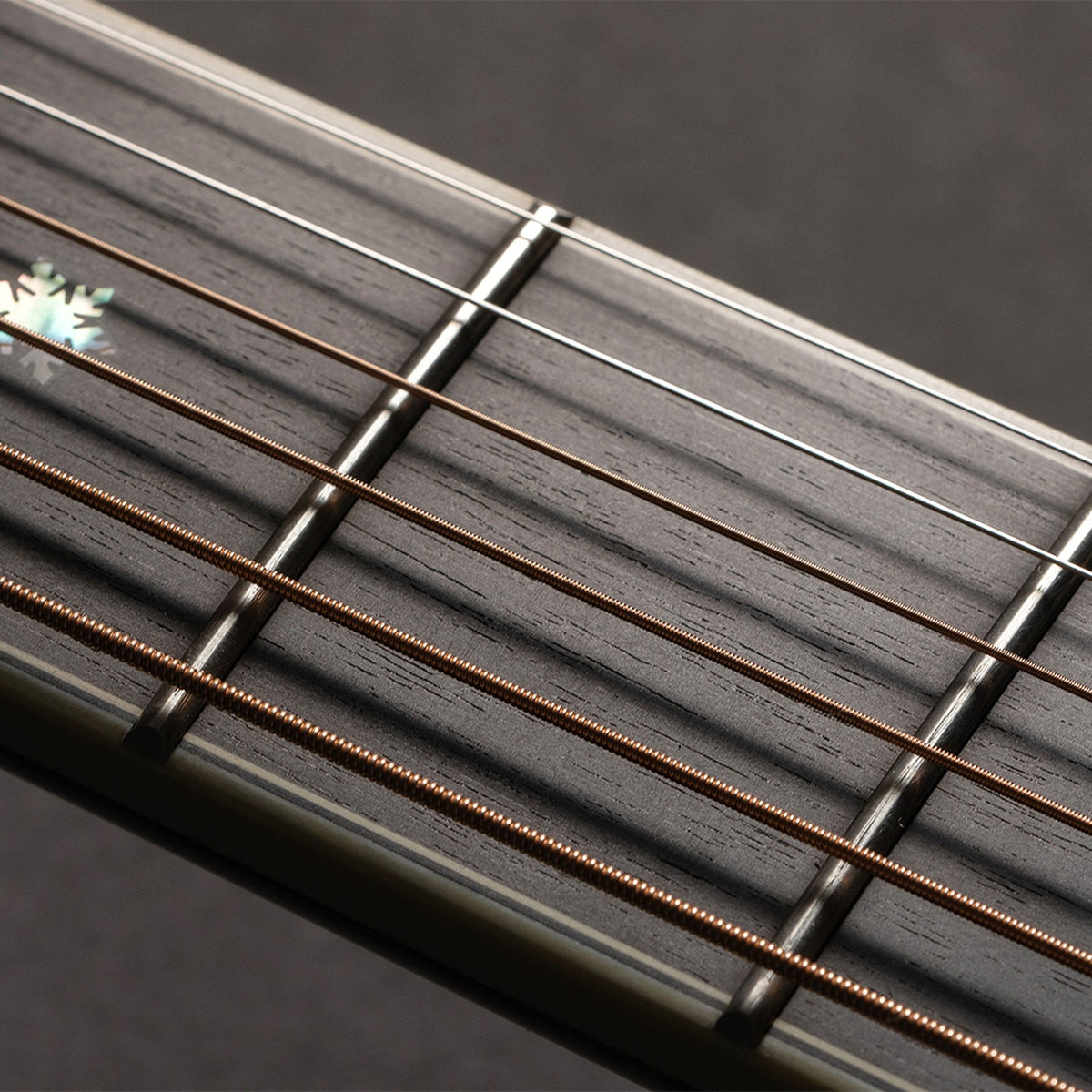 Close-up of the Takamine P10NC fretboard and its inlays.