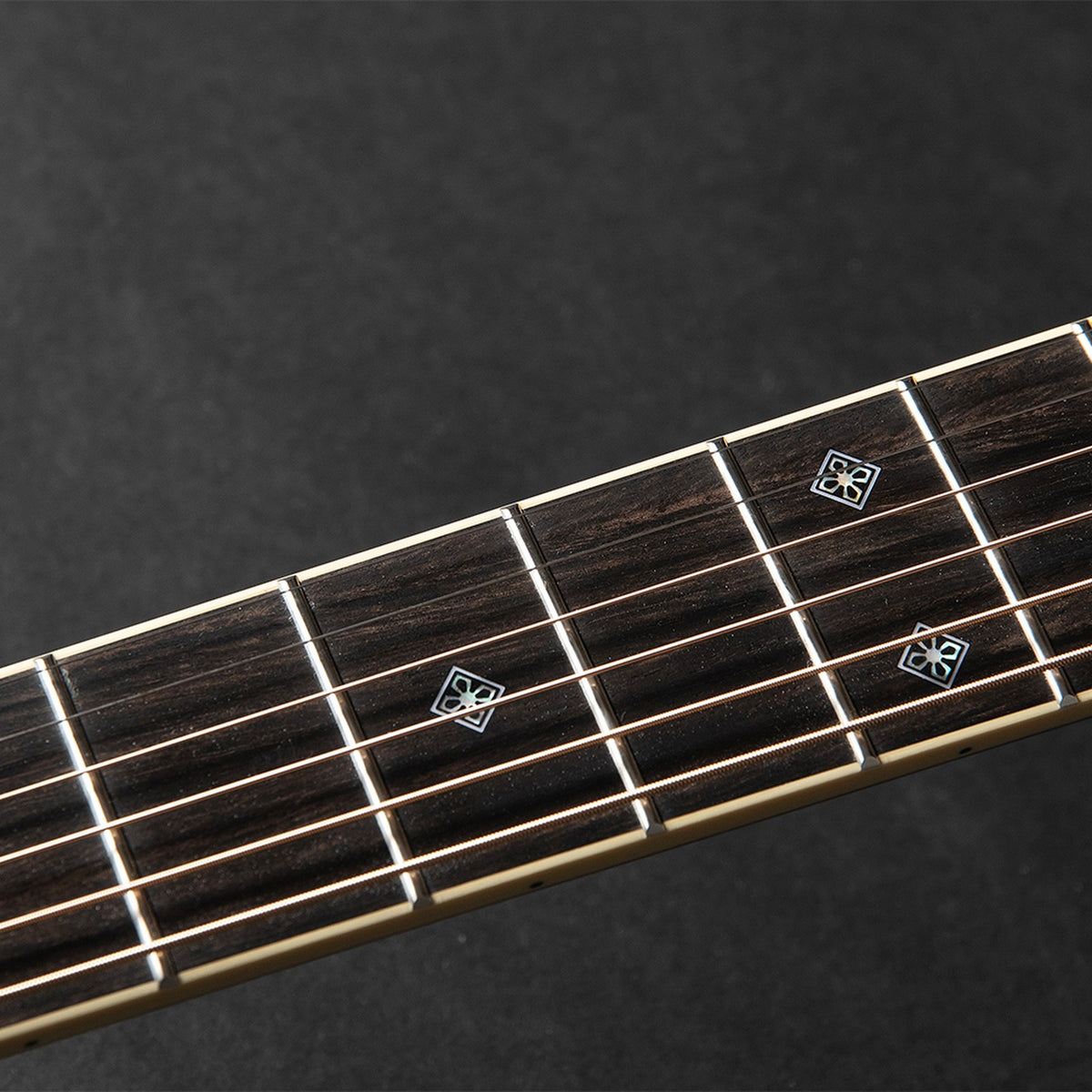 Close-up of the Takamine RNV460C fretboard and its inlays.