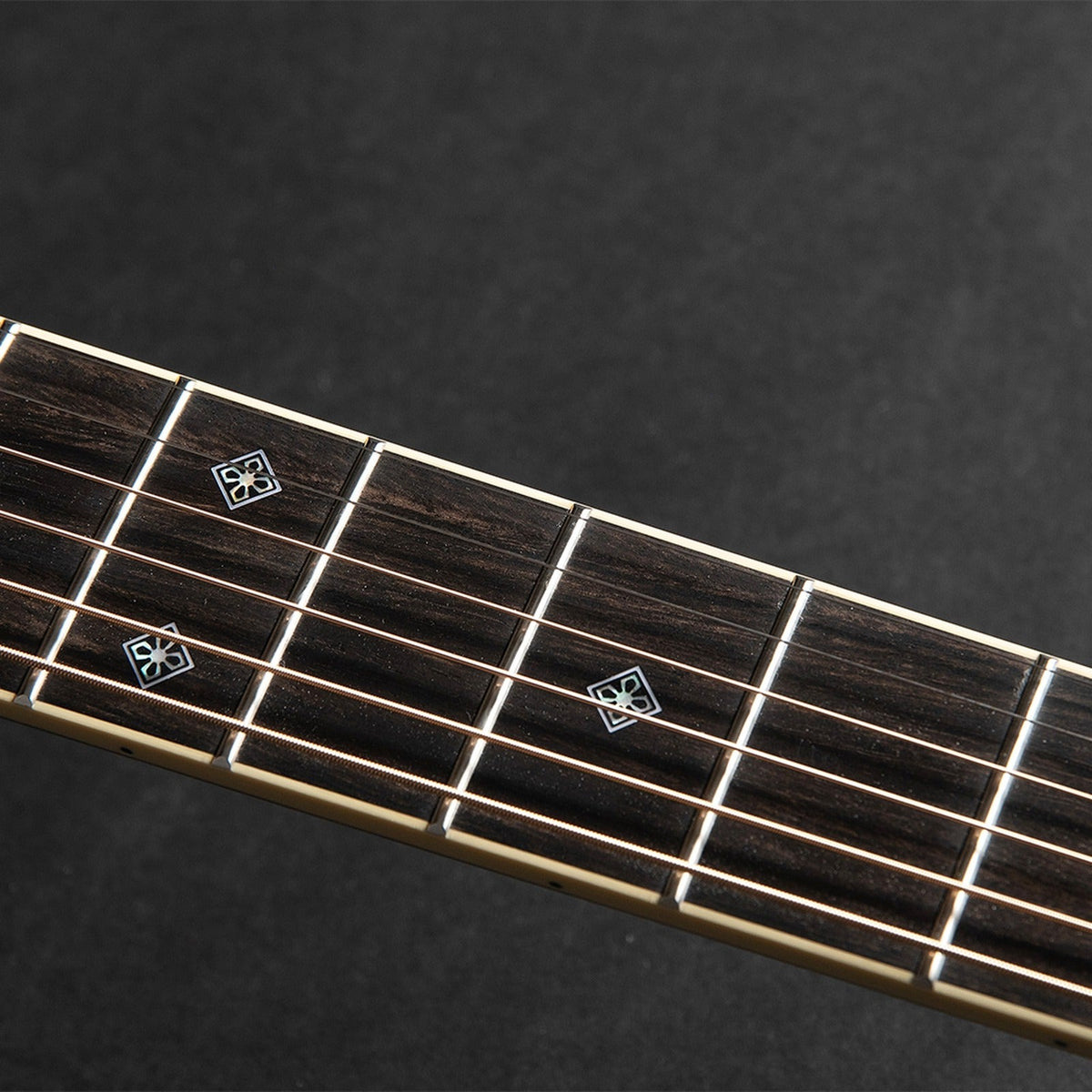 Mirrored from the right-handed model: close-up of the Takamine RNV460C LH fretboard and its inlays.