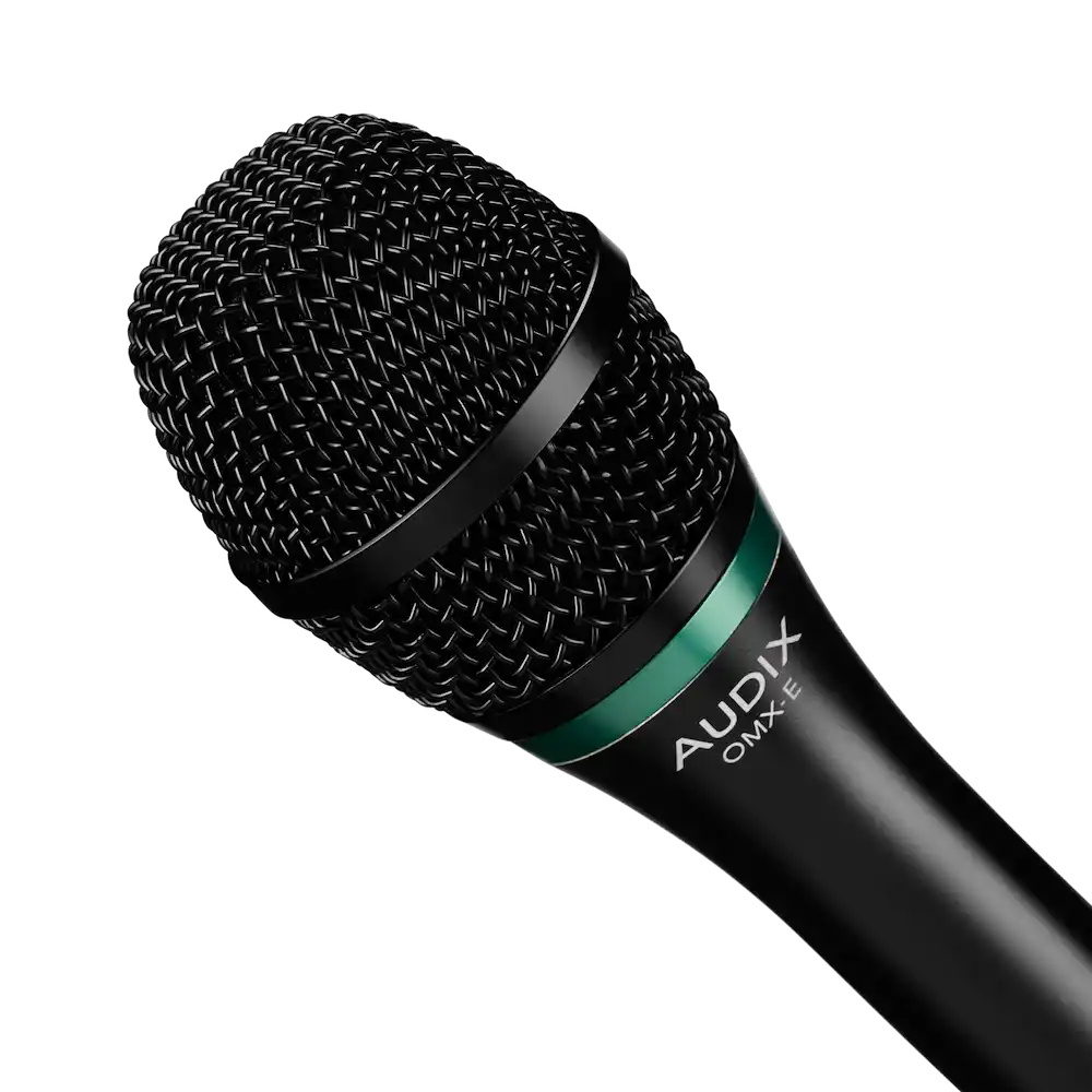 vocal-mics-audix--axomx-e-grille | Terry Carter Music Store