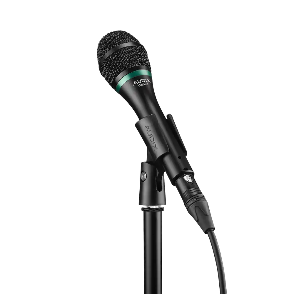 vocal-mics-audix--axomx-e-on-the-stand | Terry Carter Music Store
