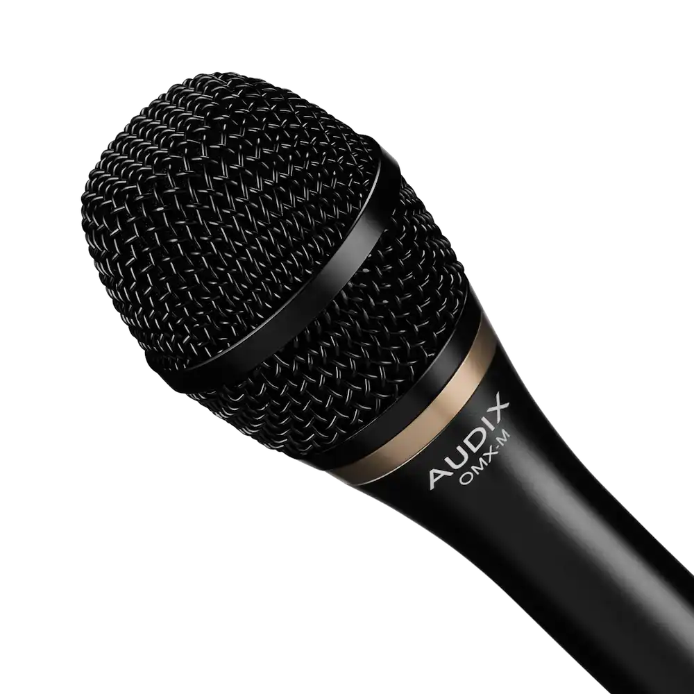 vocal-mics-audix--axomx-m-grille | Terry Carter Music Store