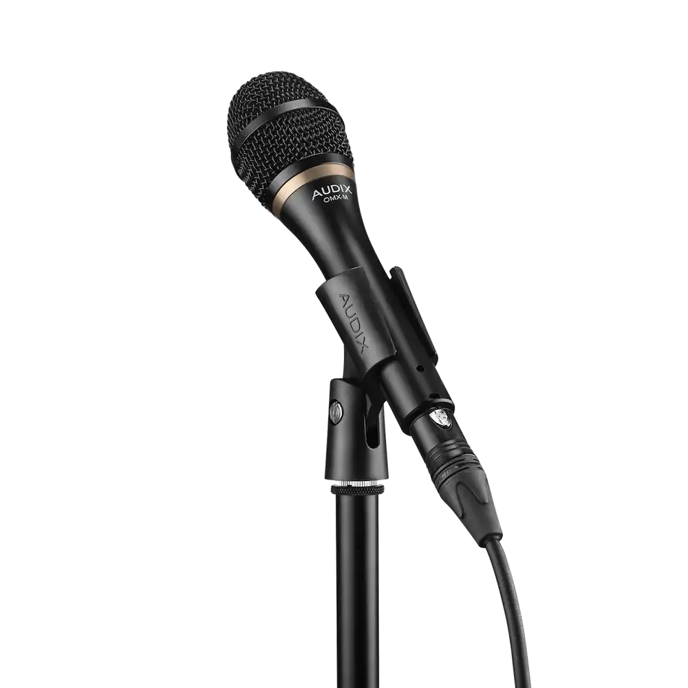 vocal-mics-audix--axomx-m-on-the-stand | Terry Carter Music Store