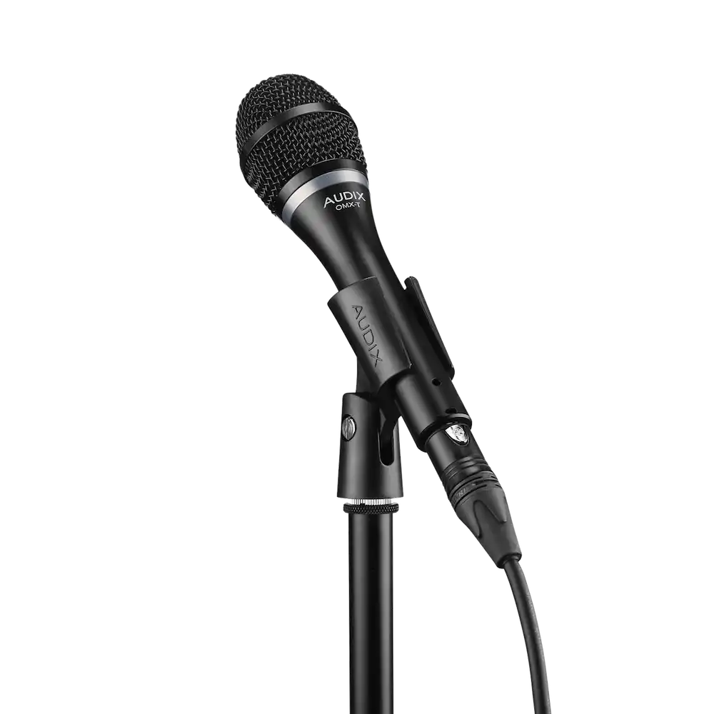 vocal-mics-audix--axomx-t-on-the-stand | Terry Carter Music Store