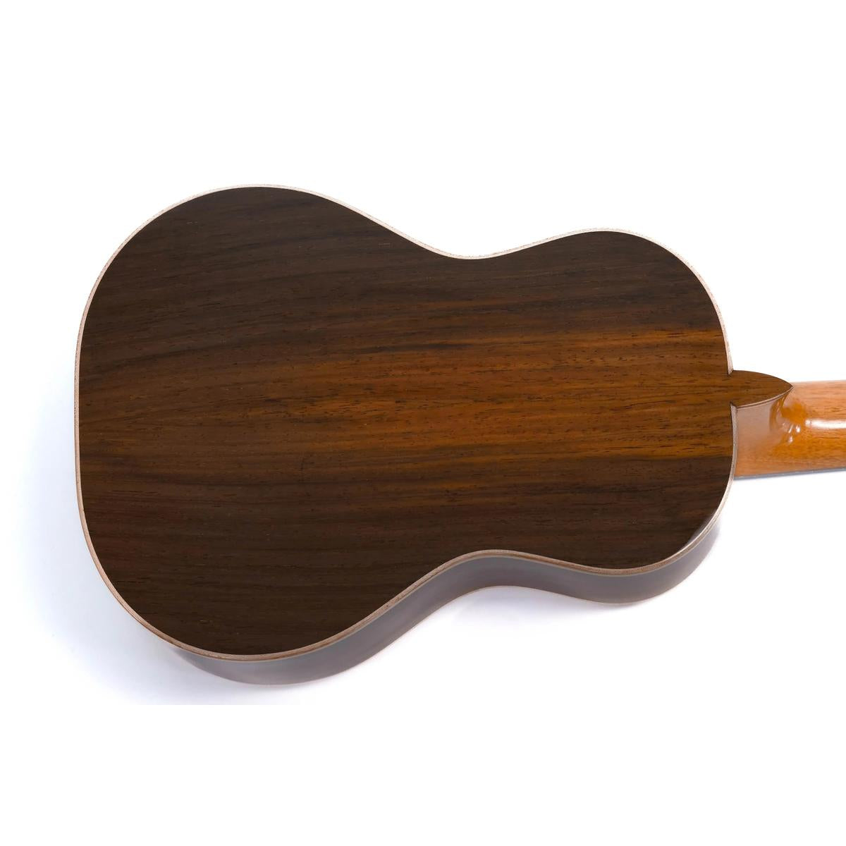 wkoczukbr1icf0gkn1lt | Terry Carter Music Store