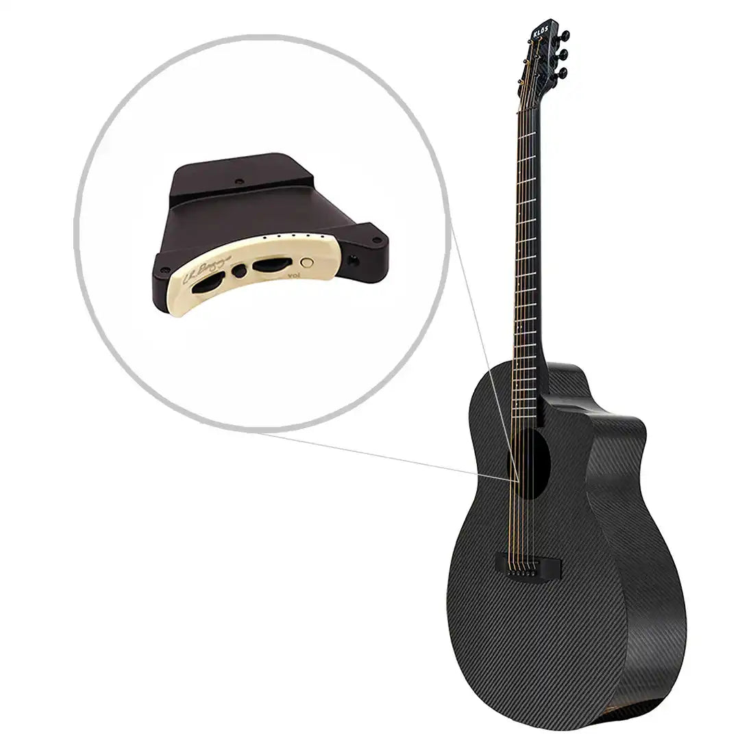 x_gc_callouts_lrbaggs_web_0c64129c-0b1d-4837-89ff-f1381a2ea0c9 | Terry Carter Music Store