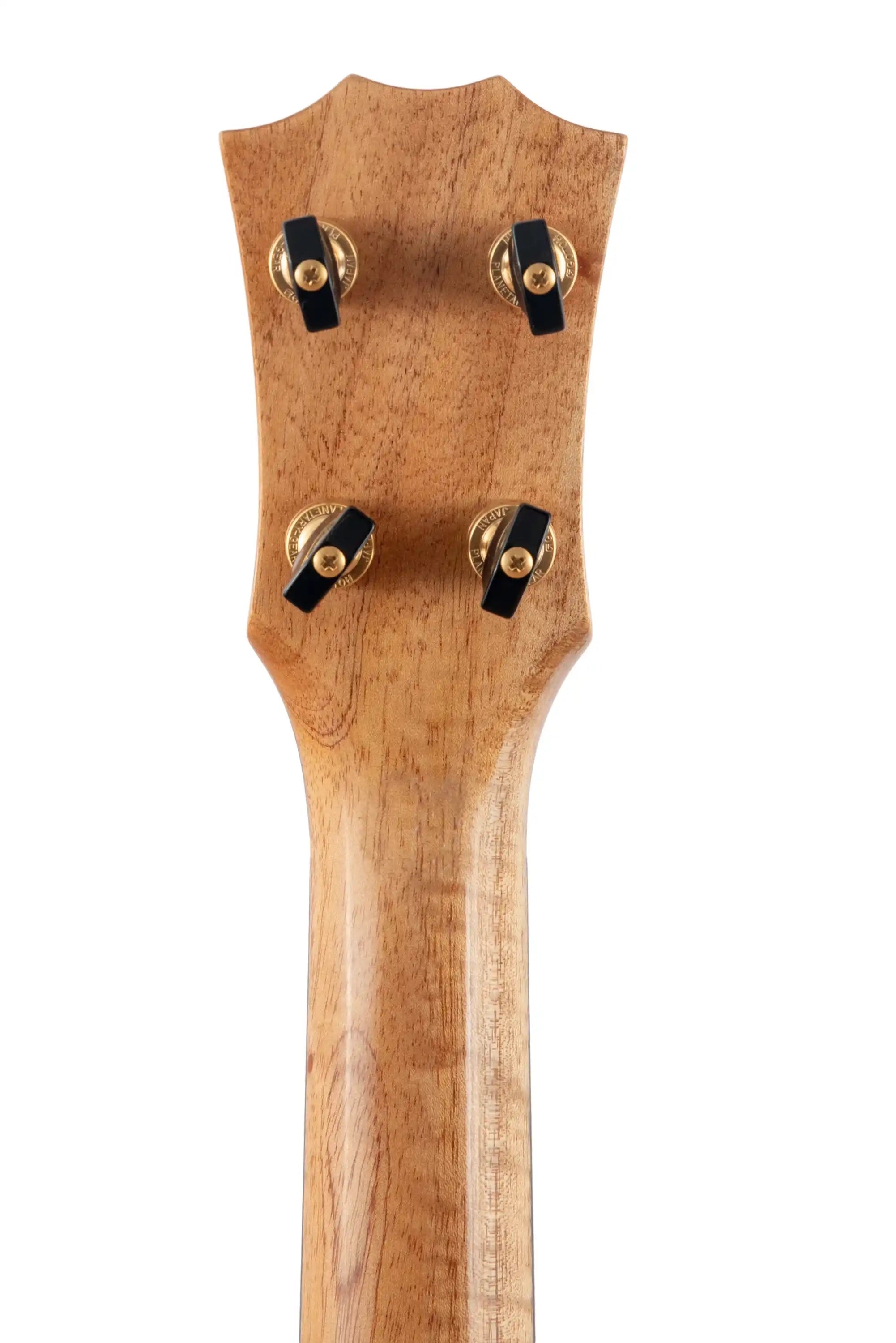Back of ukulele headstock in natural wood finish with gold tuners at Terry Carter Music Store