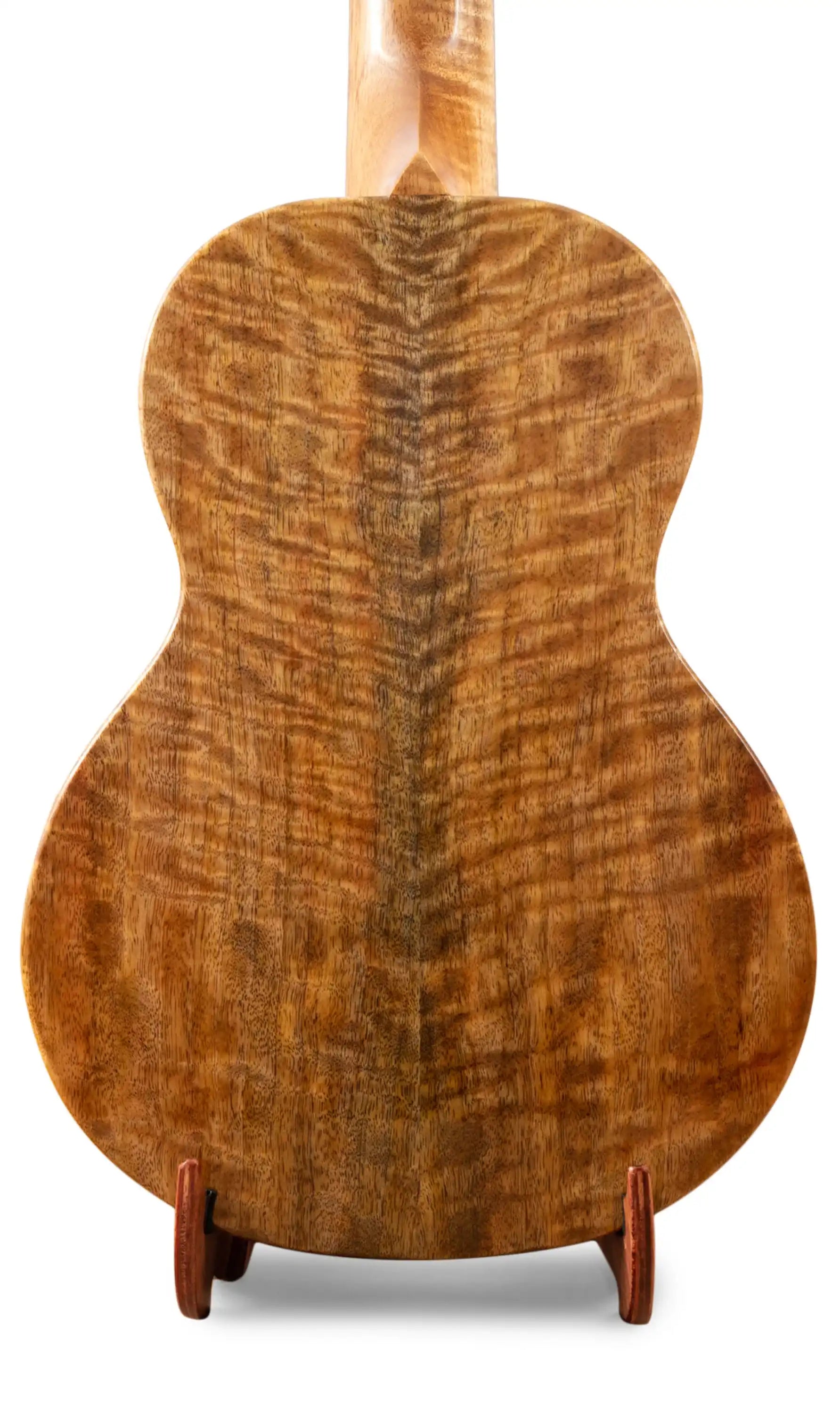 Curly koa ukulele back wood grain close-up on display at Terry Carter Music Store
