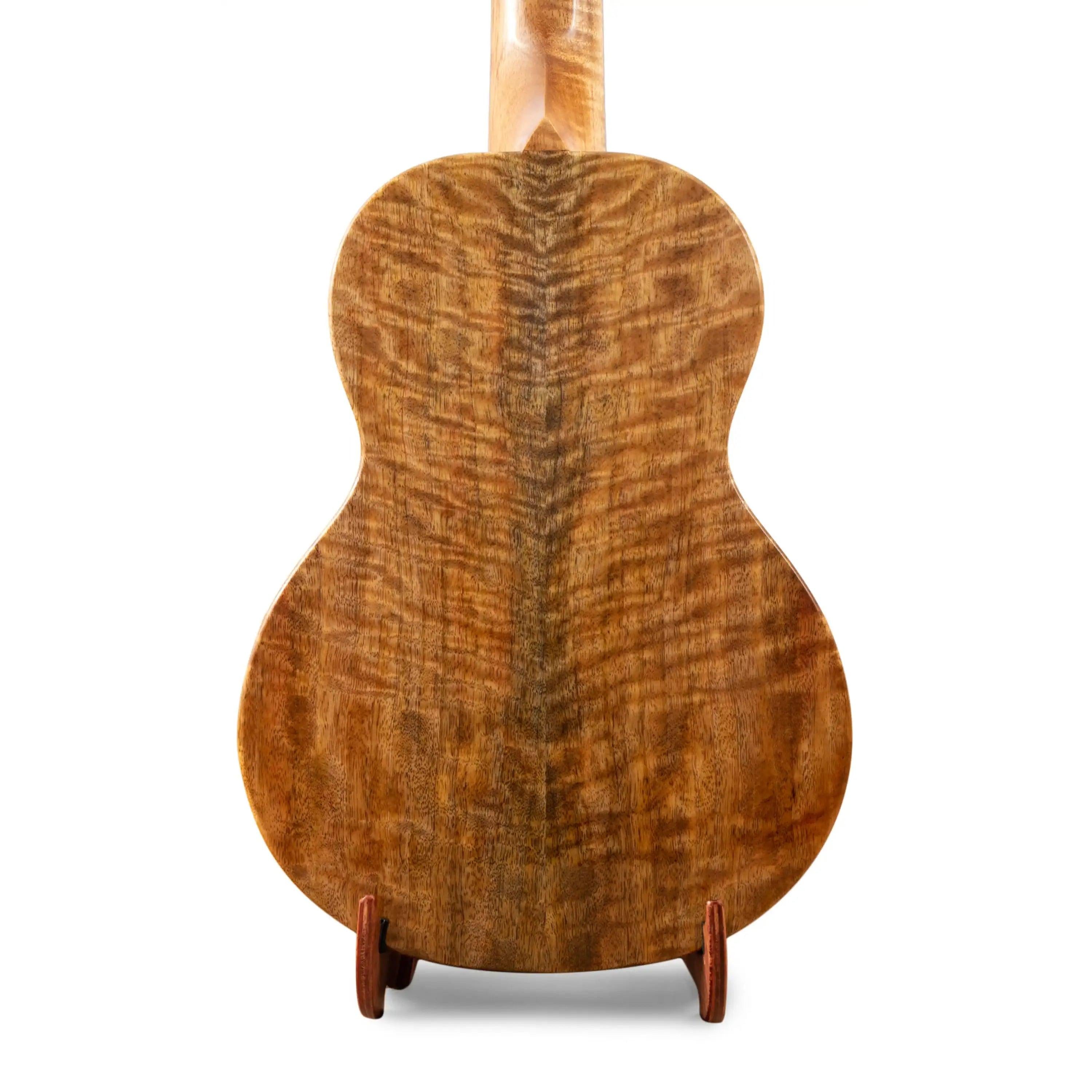 Curly koa ukulele back wood grain close-up on display at Terry Carter Music Store