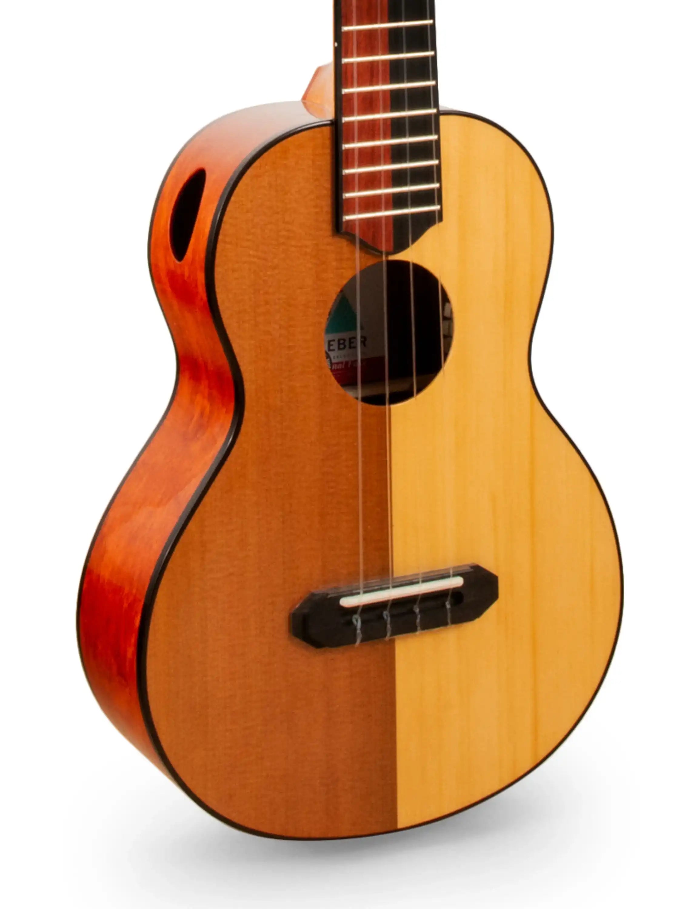 398_9358-Edit-2 | Terry Carter Music Store