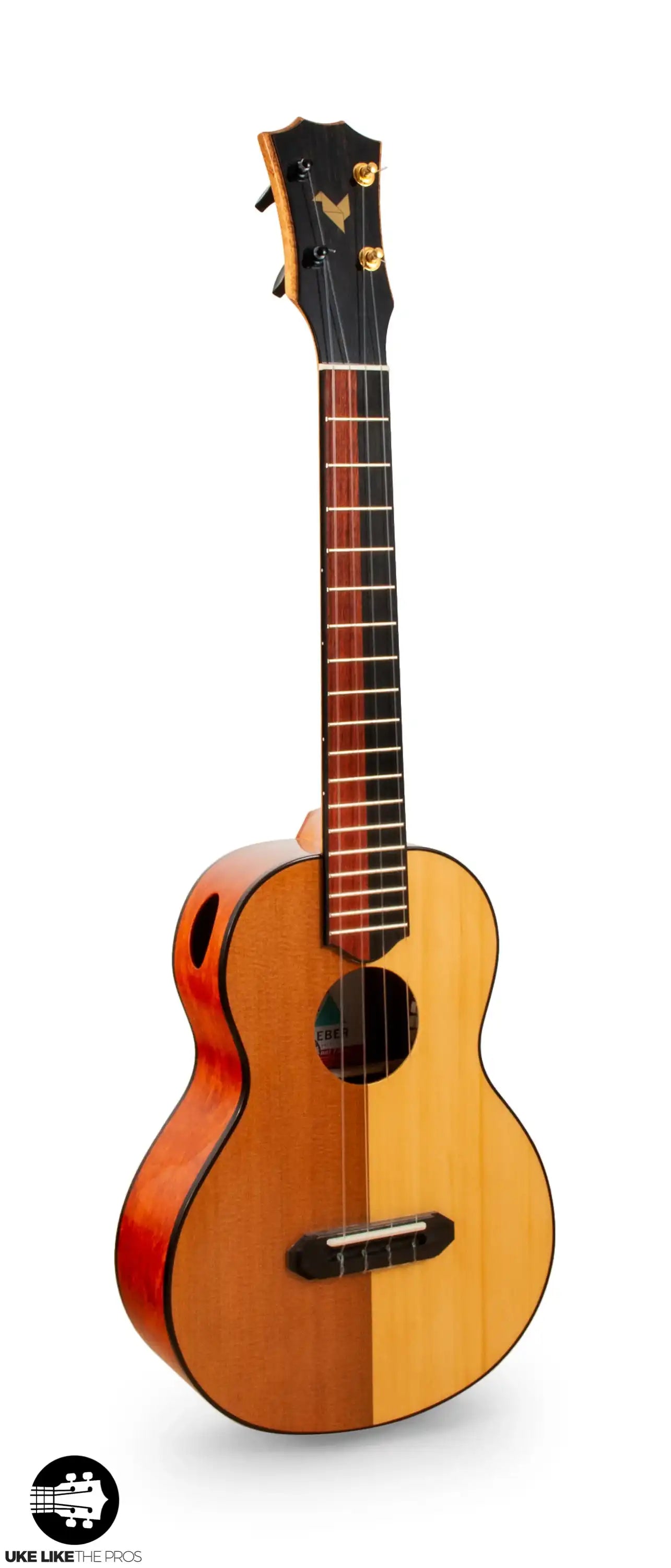 398_9358-Edit | Terry Carter Music Store