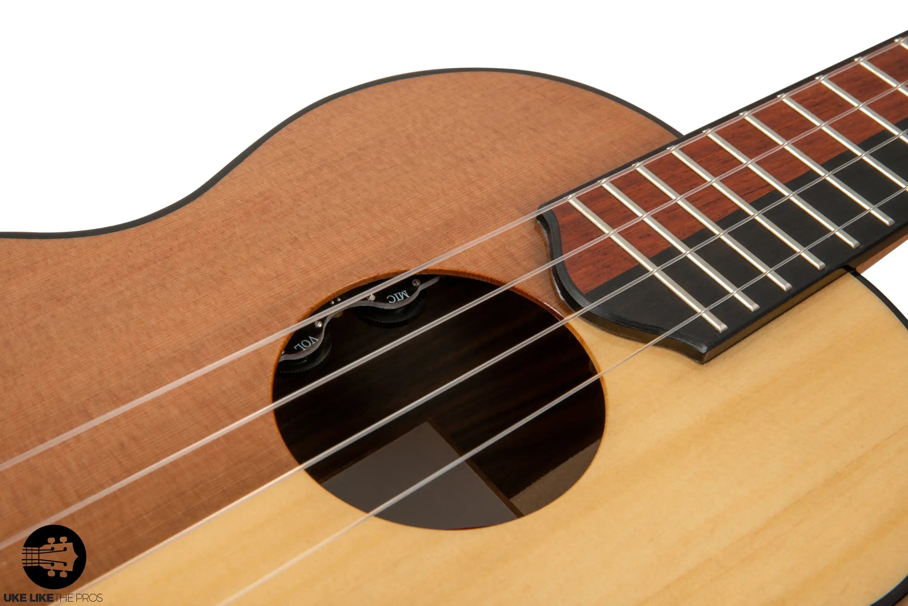 398_9366 | Terry Carter Music Store