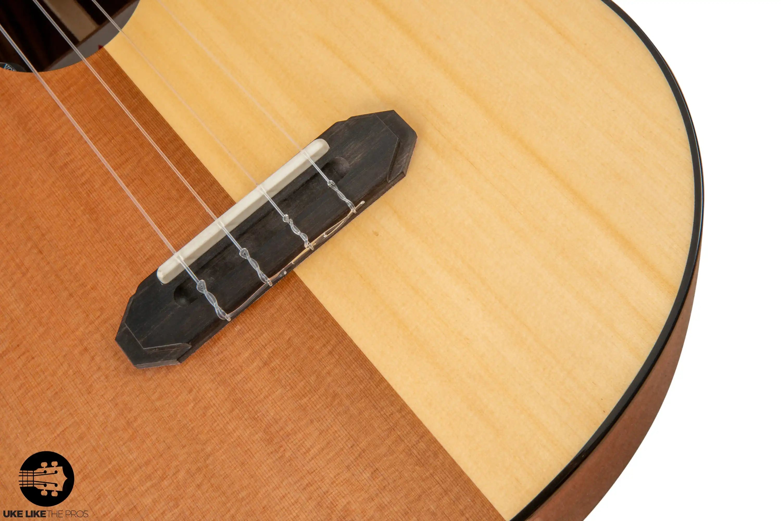 398_9369 | Terry Carter Music Store