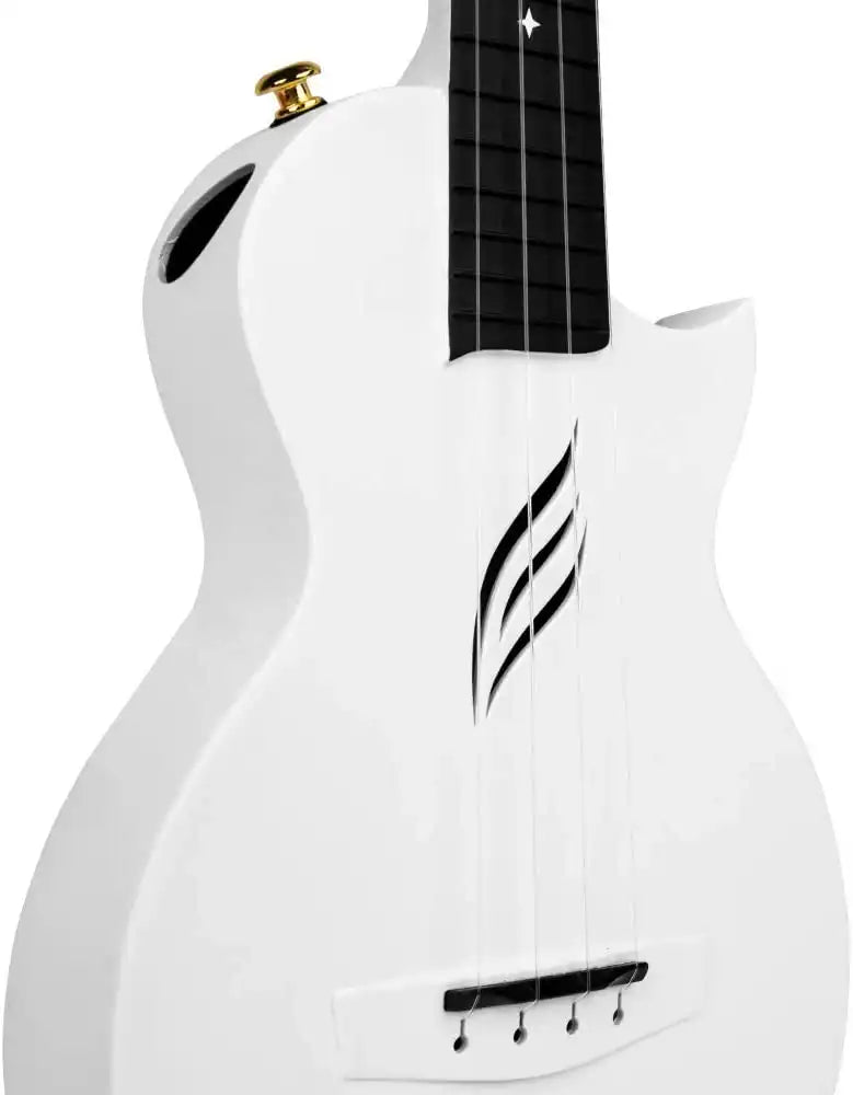 51KA2bdd67L._AC_SL1000 | Terry Carter Music Store