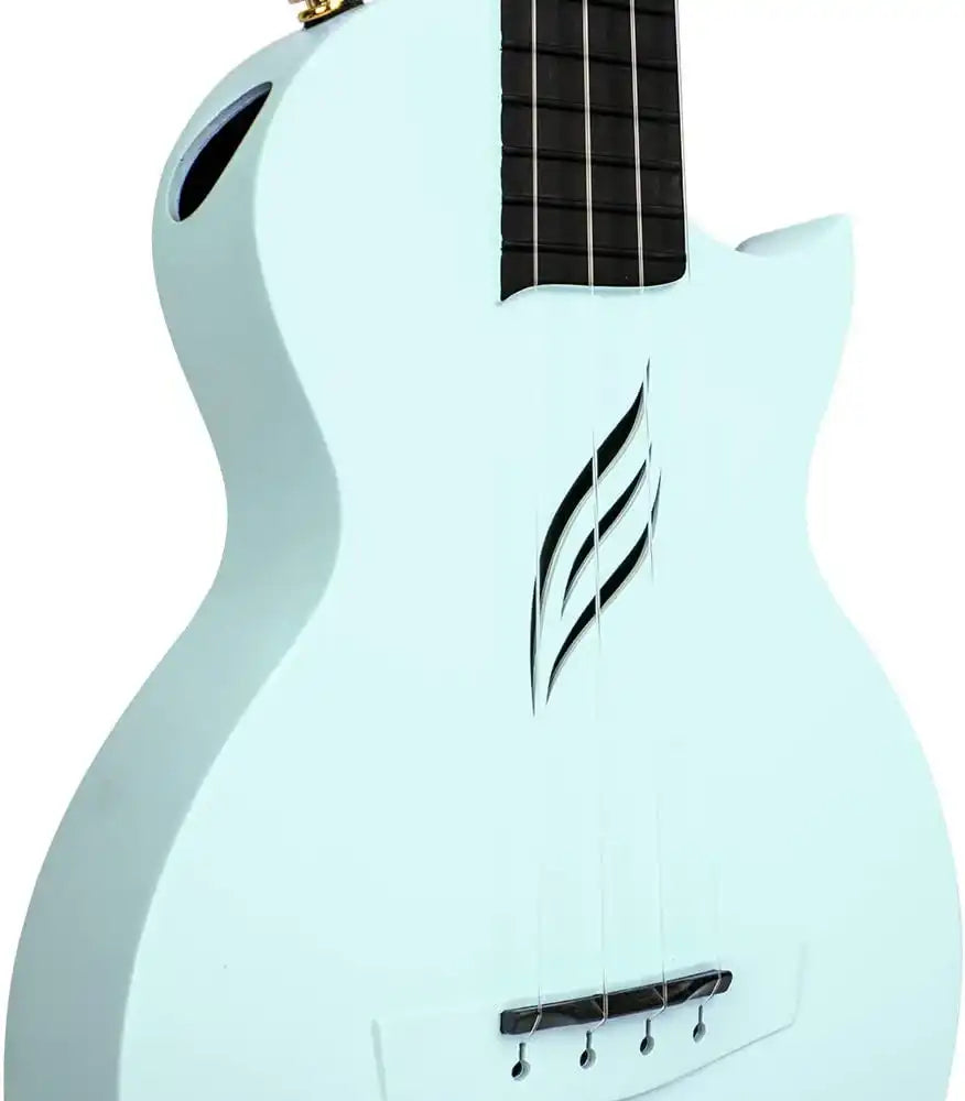 51M-2mRSZUL._AC_SL1000 | Terry Carter Music Store