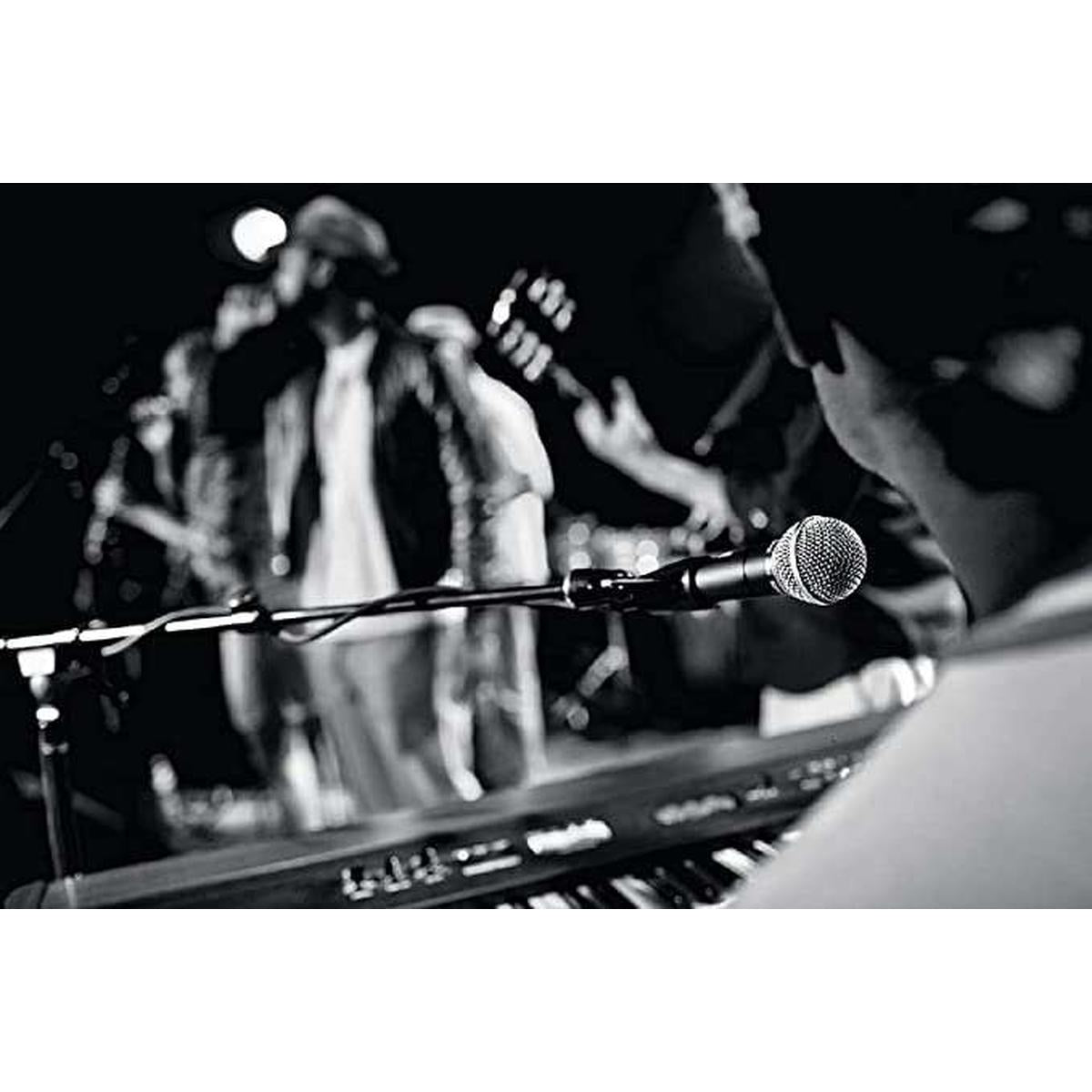51h7t1ypG2S._AC_SX679 | Terry Carter Music Store