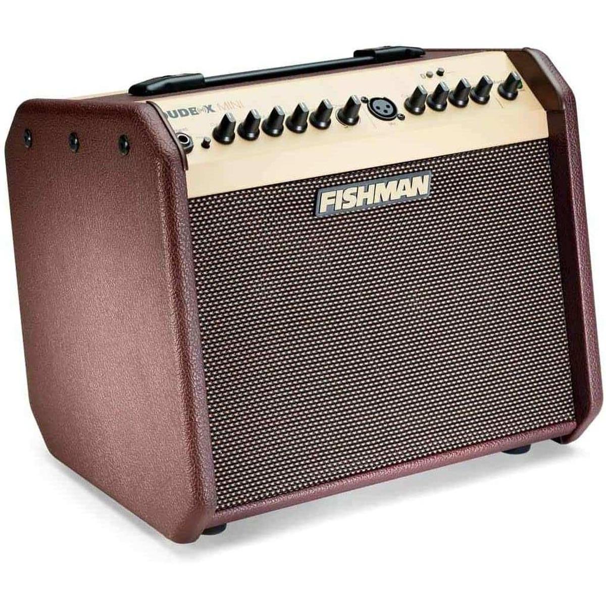 Fishman Loudbox Mini amplifier with control panel, available at Terry Carter Music Store